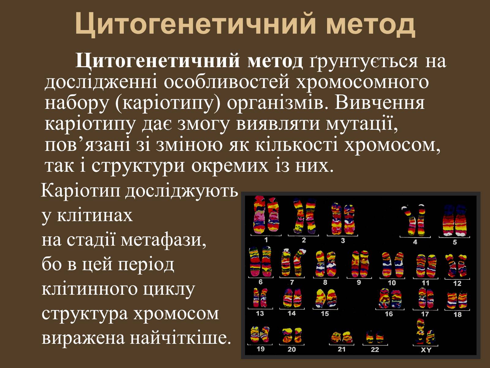 Презентація на тему «Методи генетичних досліджень» (варіант 1) - Слайд #10 Презентація на тему «Методи генетичних досліджень» (варіант 1) - Слайд #10