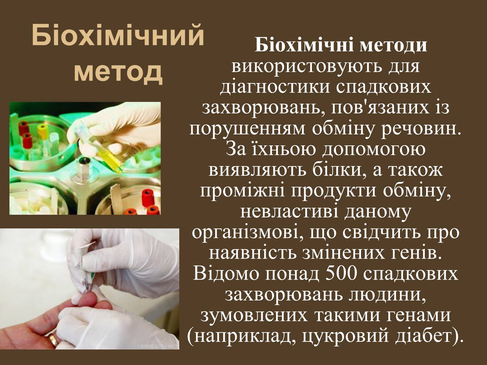 Презентація на тему «Методи генетичних досліджень» (варіант 1) - Слайд #11 Презентація на тему «Методи генетичних досліджень» (варіант 1) - Слайд #11