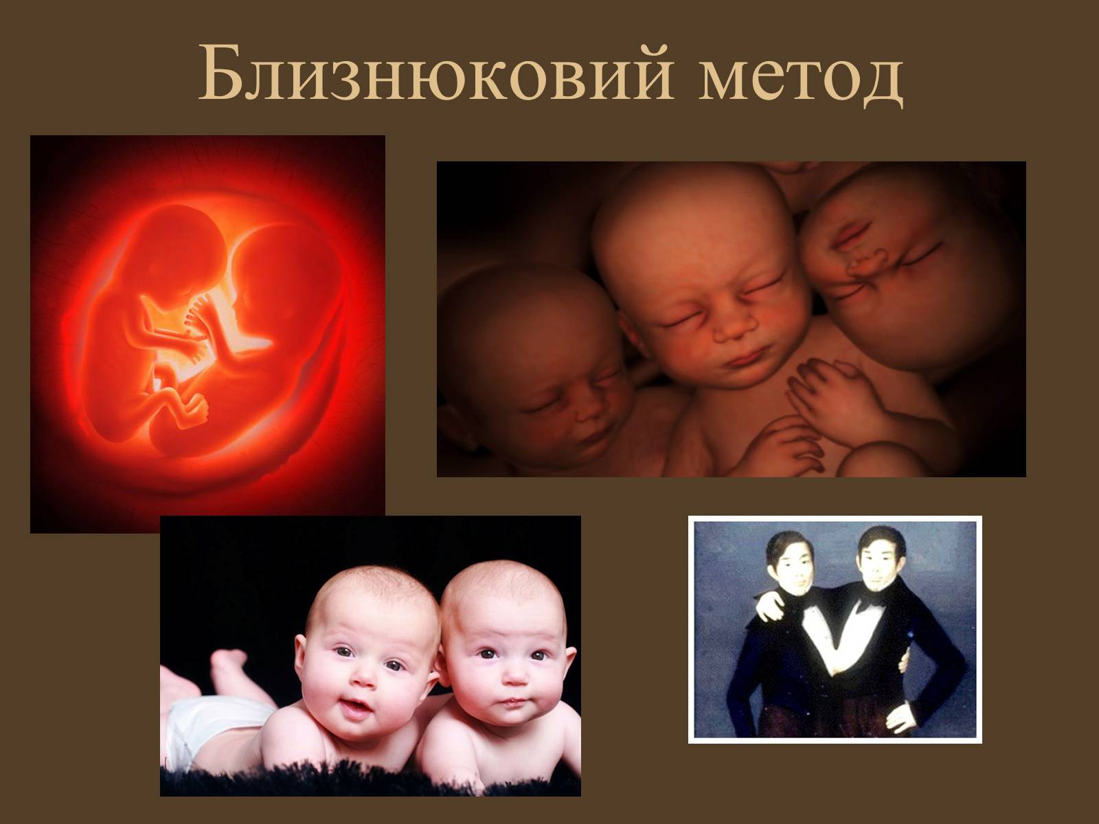 Презентація на тему «Методи генетичних досліджень» (варіант 1) - Слайд #12 Презентація на тему «Методи генетичних досліджень» (варіант 1) - Слайд #12