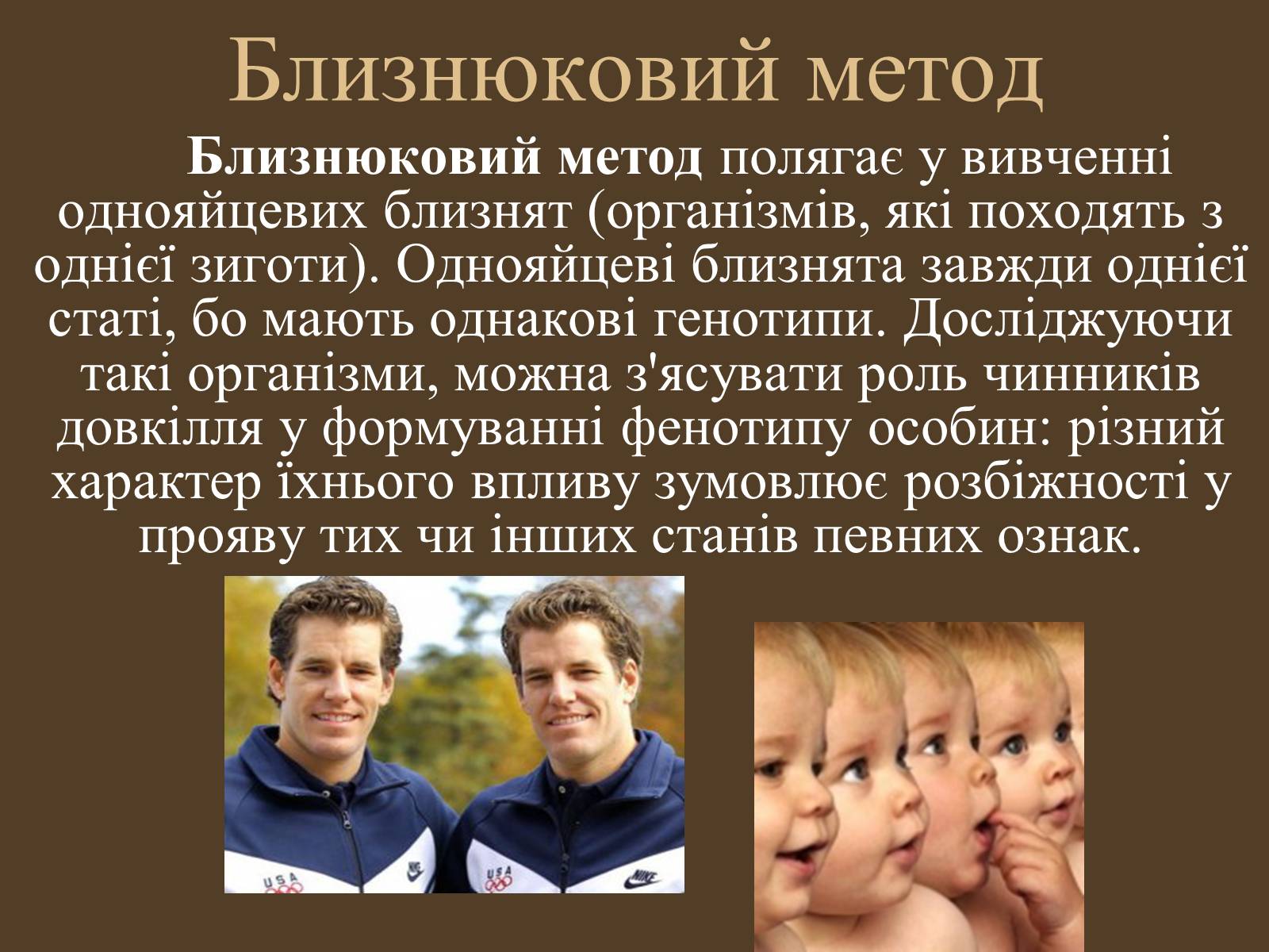 Презентація на тему «Методи генетичних досліджень» (варіант 1) - Слайд #13 Презентація на тему «Методи генетичних досліджень» (варіант 1) - Слайд #13