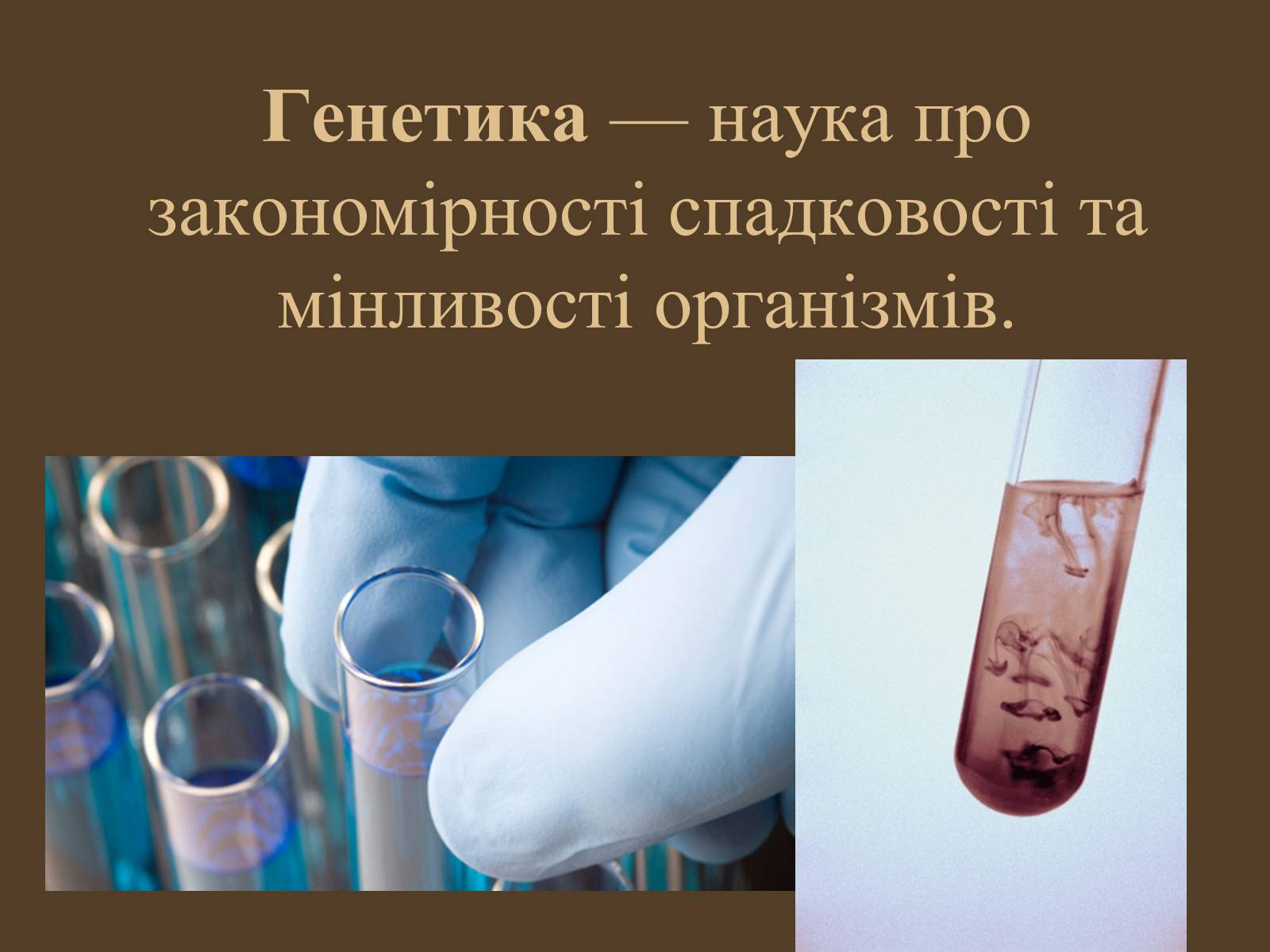 Презентація на тему «Методи генетичних досліджень» (варіант 1) - Слайд #2 Презентація на тему «Методи генетичних досліджень» (варіант 1) - Слайд #2