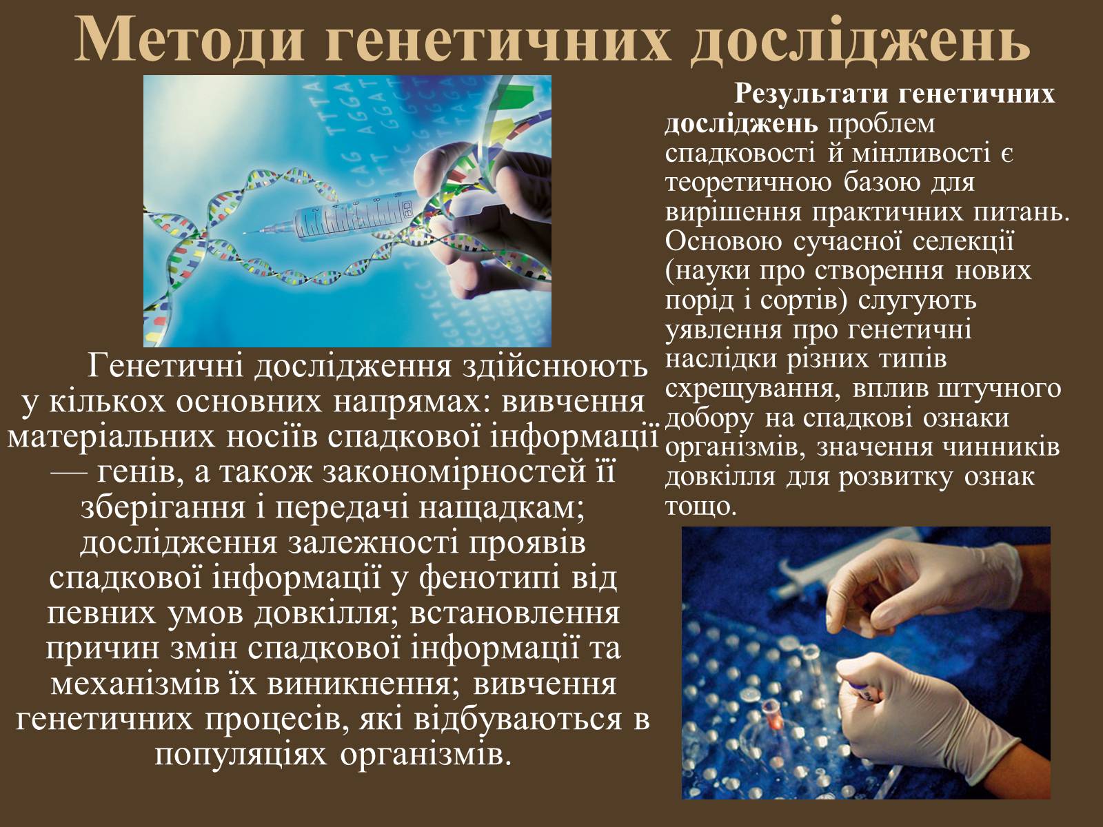 Презентація на тему «Методи генетичних досліджень» (варіант 1) - Слайд #5 Презентація на тему «Методи генетичних досліджень» (варіант 1) - Слайд #5