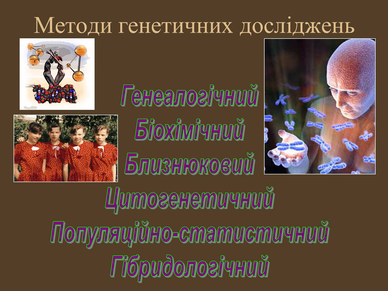 Презентація на тему «Методи генетичних досліджень» (варіант 1) - Слайд #6 Презентація на тему «Методи генетичних досліджень» (варіант 1) - Слайд #6