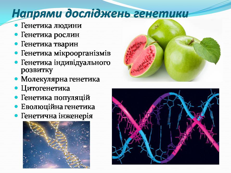 Презентація на тему «Цікаві факти про генетику» - Слайд #3 Презентація на тему «Цікаві факти про генетику» - Слайд #3