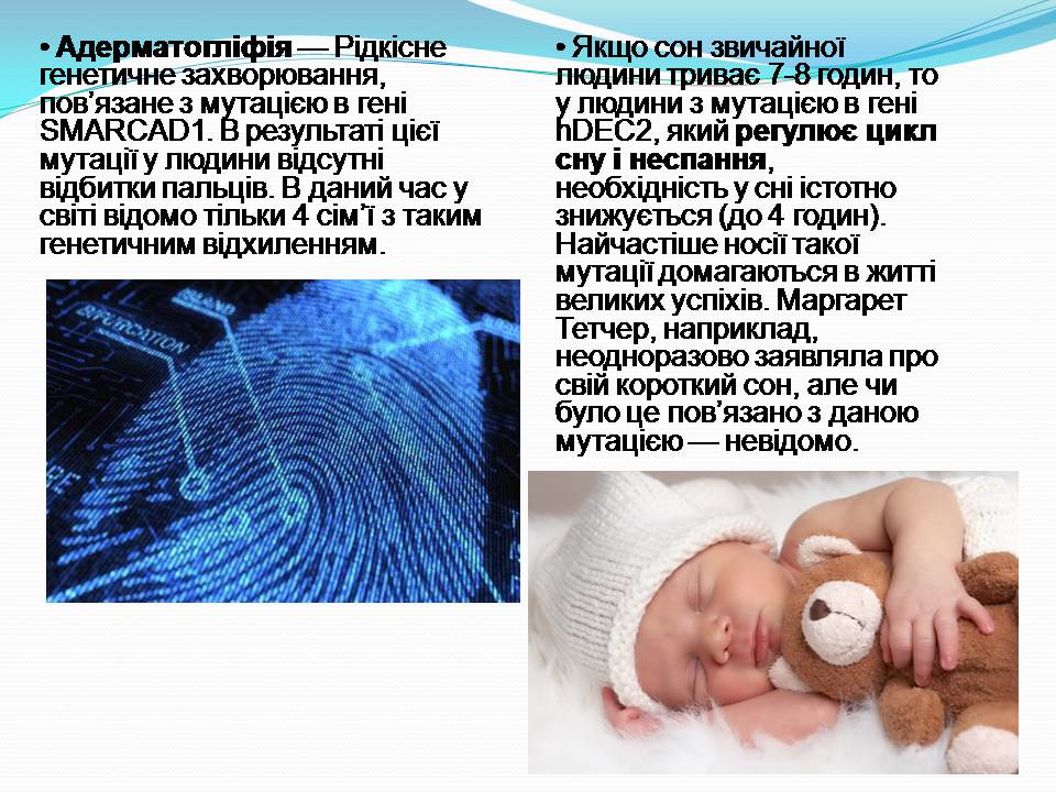 Презентація на тему «Цікаві факти про генетику» - Слайд #5 Презентація на тему «Цікаві факти про генетику» - Слайд #5