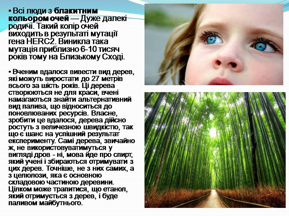 Презентація на тему «Цікаві факти про генетику» - Слайд #8 Презентація на тему «Цікаві факти про генетику» - Слайд #8