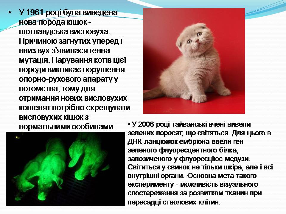 Презентація на тему «Цікаві факти про генетику» - Слайд #9 Презентація на тему «Цікаві факти про генетику» - Слайд #9