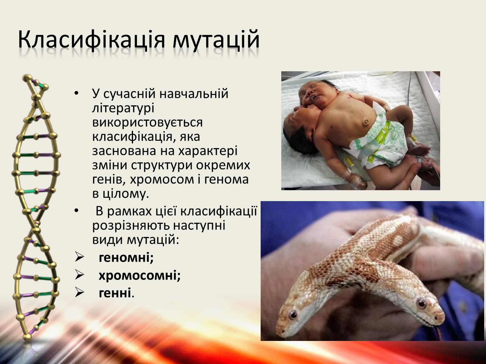 Презентація на тему «Мутації» (варіант 6) - Слайд #4 Презентація на тему «Мутації» (варіант 6) - Слайд #4