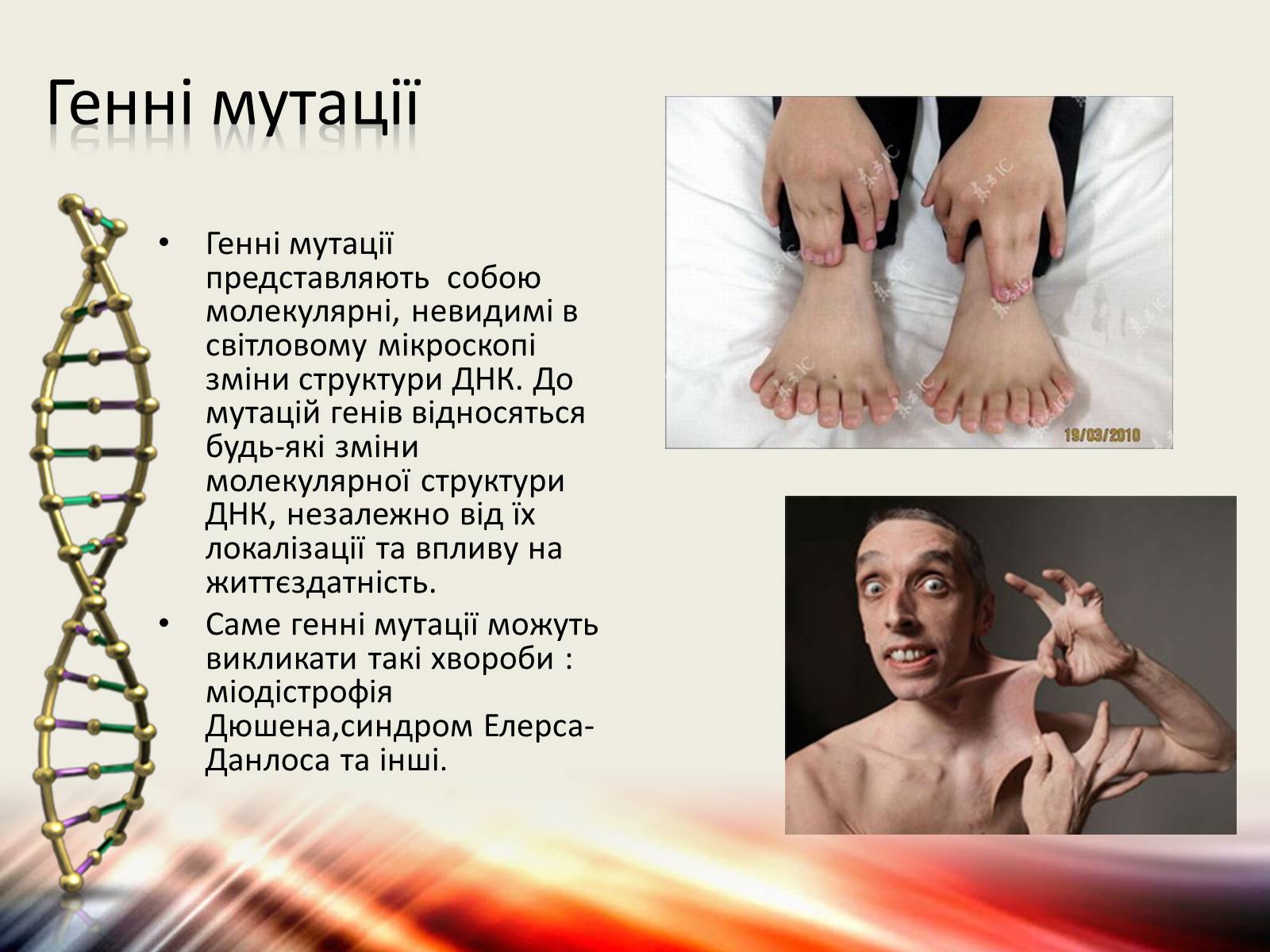 Презентація на тему «Мутації» (варіант 6) - Слайд #7 Презентація на тему «Мутації» (варіант 6) - Слайд #7
