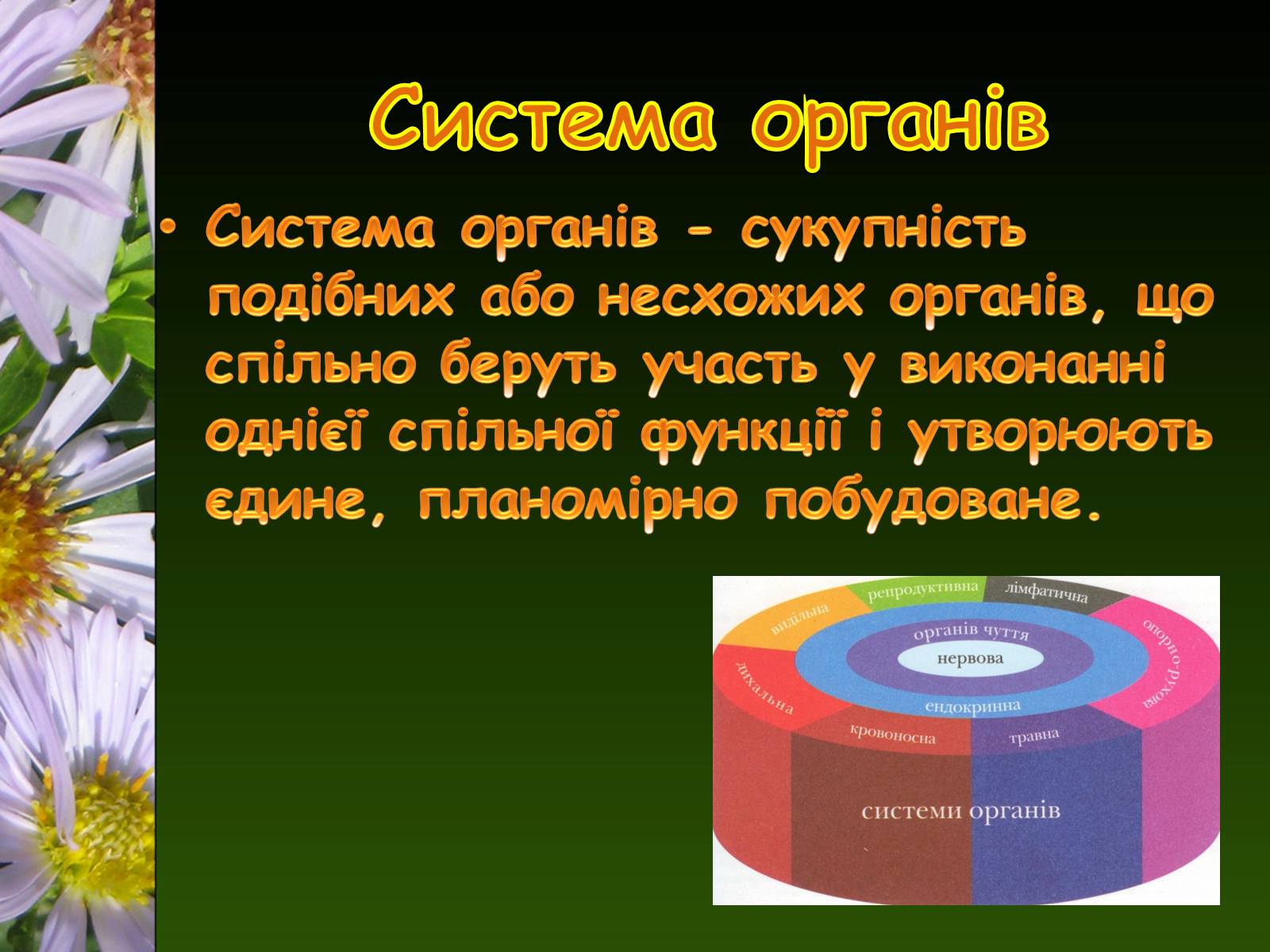 Презентація на тему «Органи і система органів тварин» - Слайд #2 Презентація на тему «Органи і система органів тварин» - Слайд #2