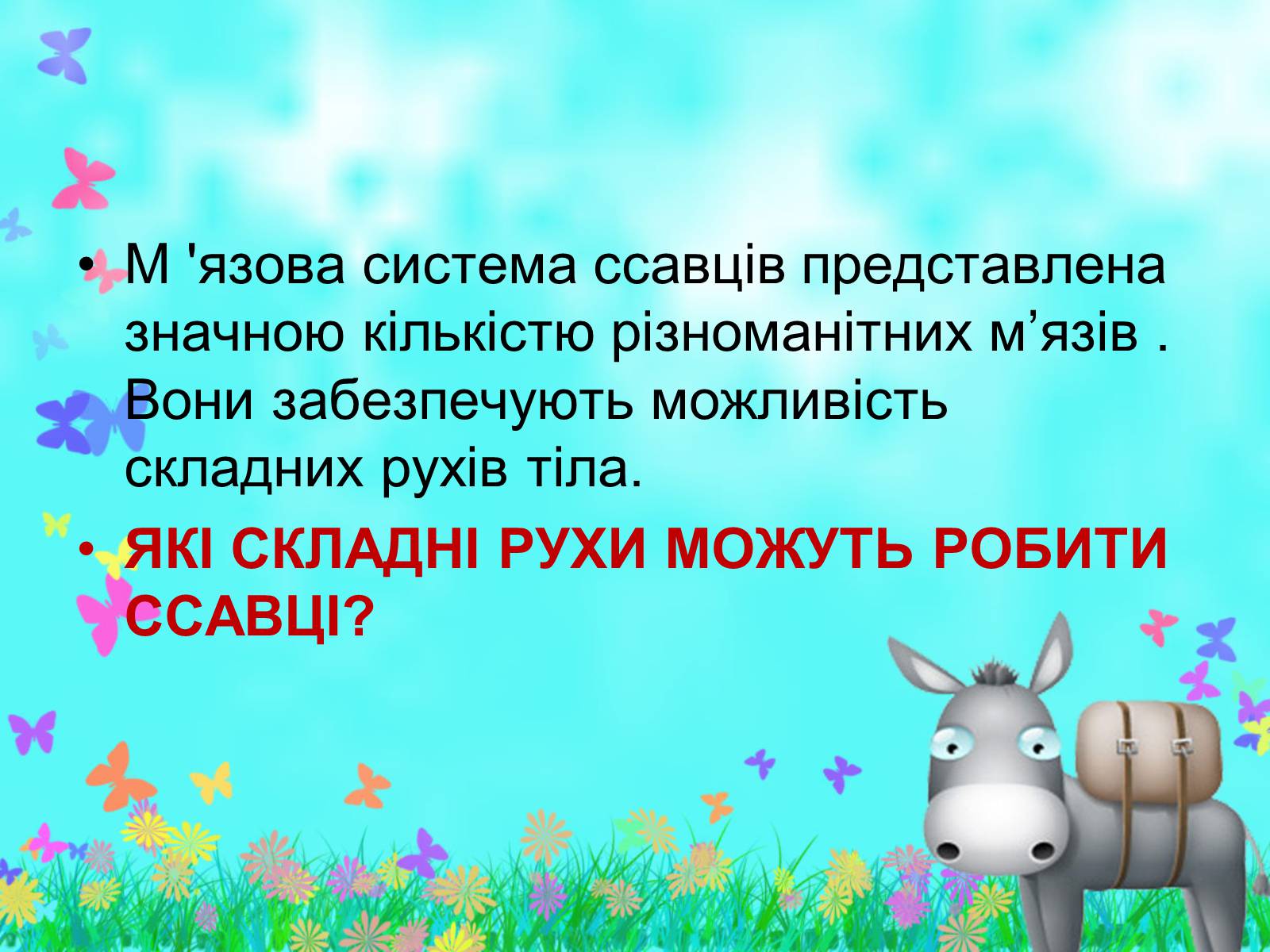 Презентація на тему «Загальна характеристика класу Ссавці. Зовнішня будова, скелет і мускулатура» - Слайд #20 Презентація на тему «Загальна характеристика класу Ссавці. Зовнішня будова, скелет і мускулатура» - Слайд #20