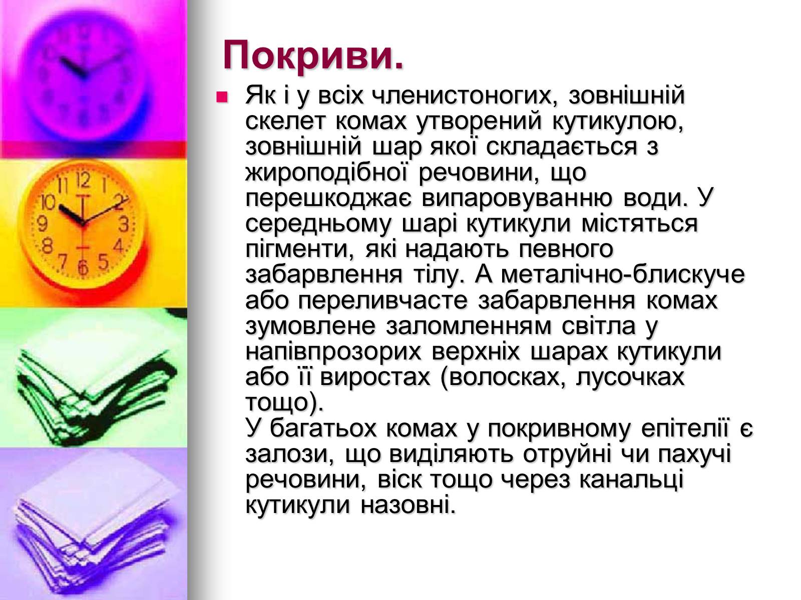 Презентація на тему «Клас Комахи. Загальна характеристика класу» - Слайд #10 Презентація на тему «Клас Комахи. Загальна характеристика класу» - Слайд #10