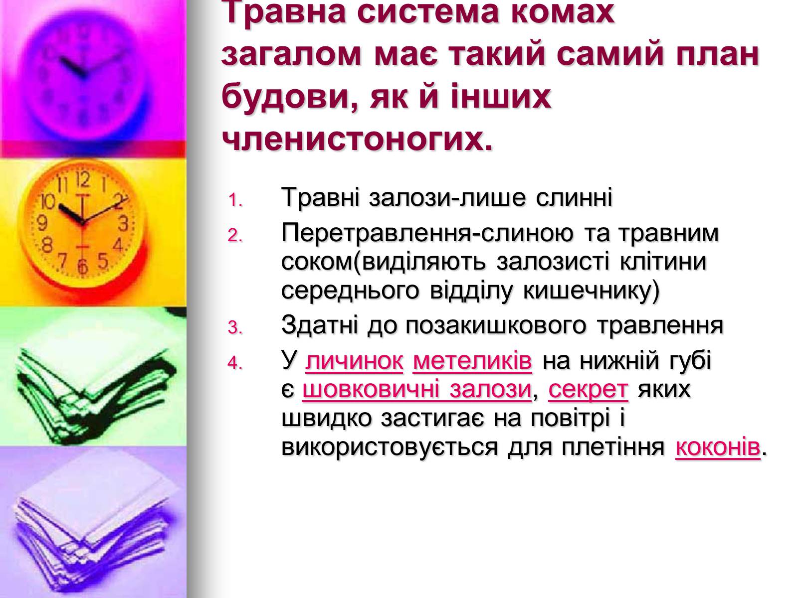 Презентація на тему «Клас Комахи. Загальна характеристика класу» - Слайд #13 Презентація на тему «Клас Комахи. Загальна характеристика класу» - Слайд #13