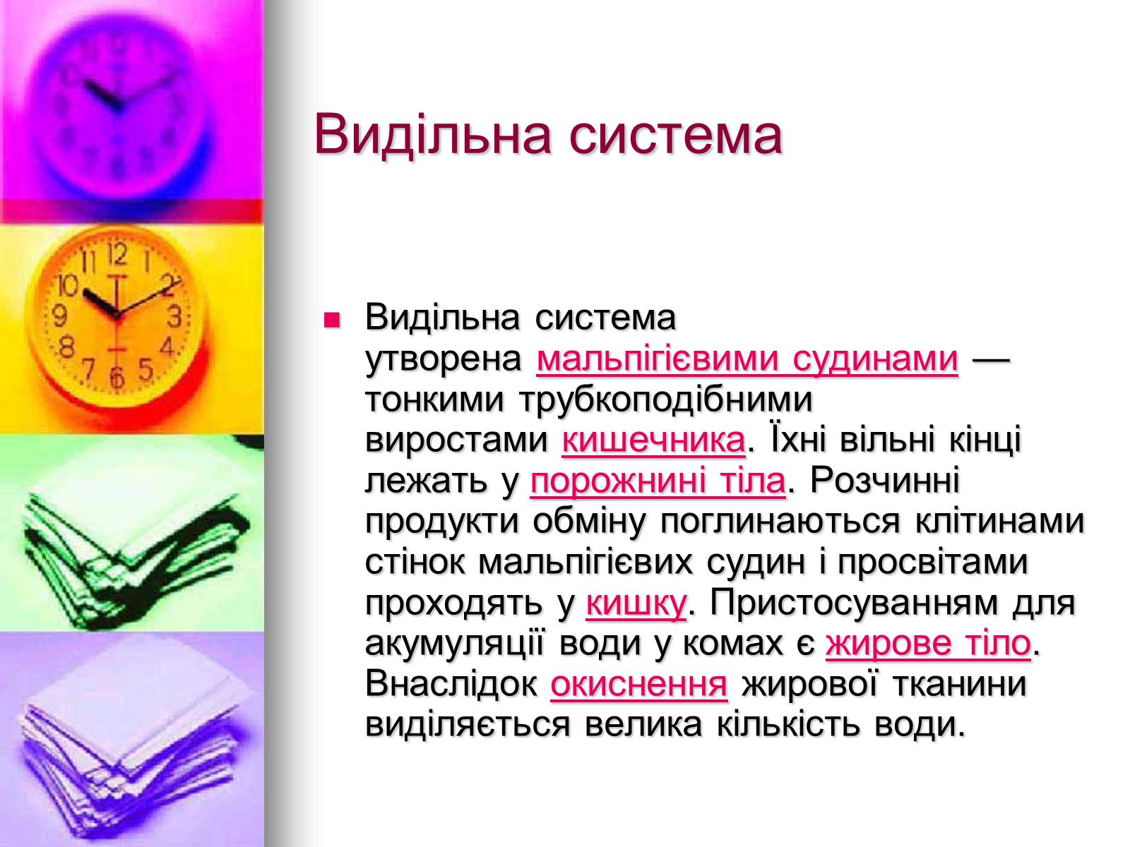 Презентація на тему «Клас Комахи. Загальна характеристика класу» - Слайд #14 Презентація на тему «Клас Комахи. Загальна характеристика класу» - Слайд #14