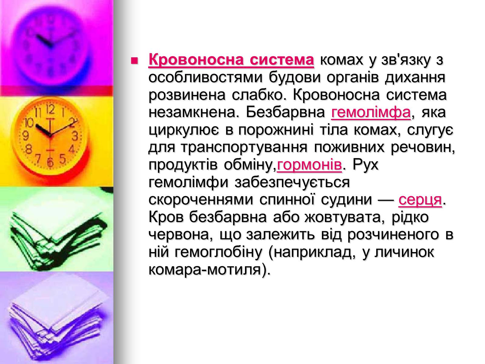 Презентація на тему «Клас Комахи. Загальна характеристика класу» - Слайд #16 Презентація на тему «Клас Комахи. Загальна характеристика класу» - Слайд #16