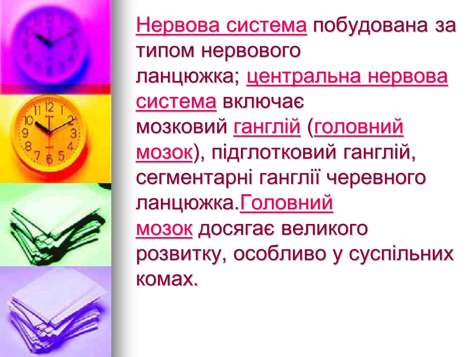 Презентація на тему «Клас Комахи. Загальна характеристика класу» - Слайд #18 Презентація на тему «Клас Комахи. Загальна характеристика класу» - Слайд #18