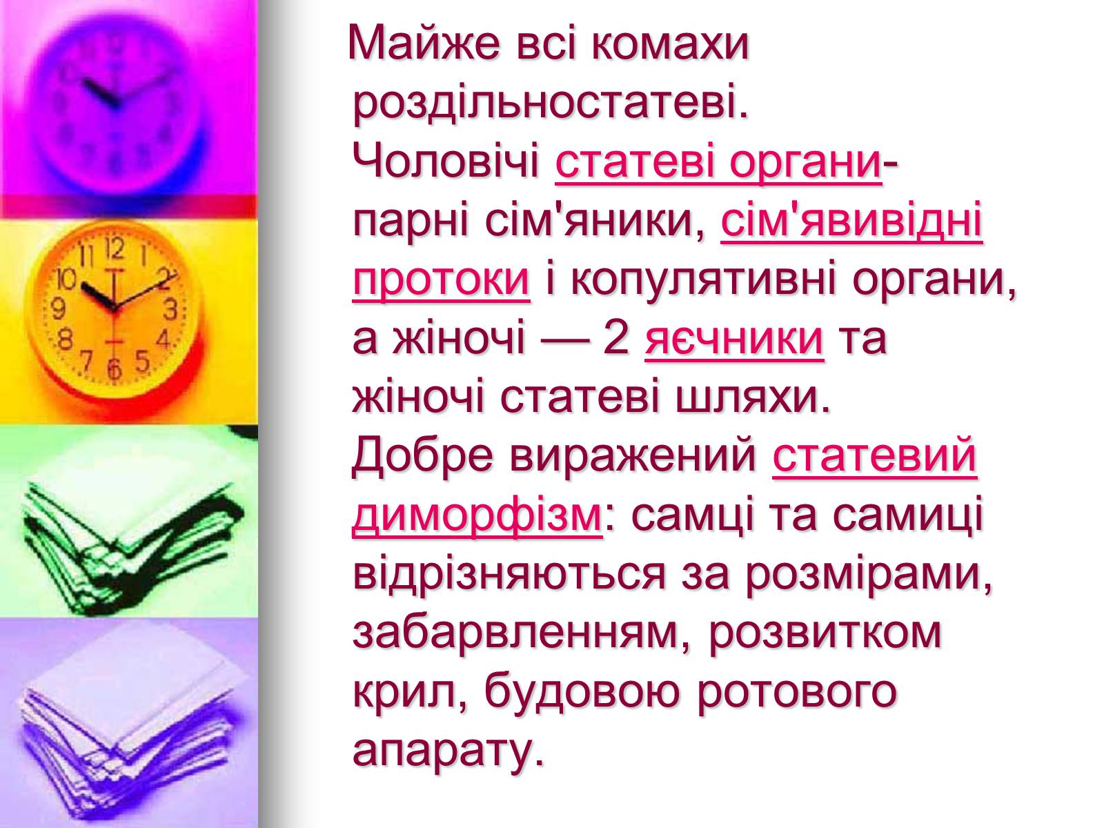 Презентація на тему «Клас Комахи. Загальна характеристика класу» - Слайд #20 Презентація на тему «Клас Комахи. Загальна характеристика класу» - Слайд #20