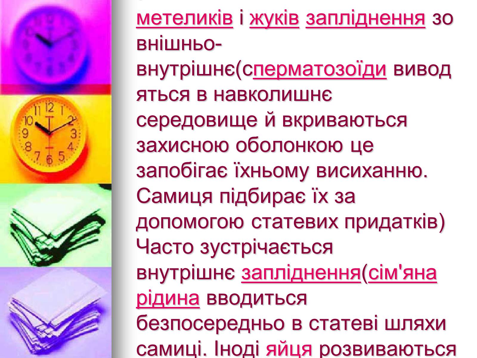 Презентація на тему «Клас Комахи. Загальна характеристика класу» - Слайд #21 Презентація на тему «Клас Комахи. Загальна характеристика класу» - Слайд #21