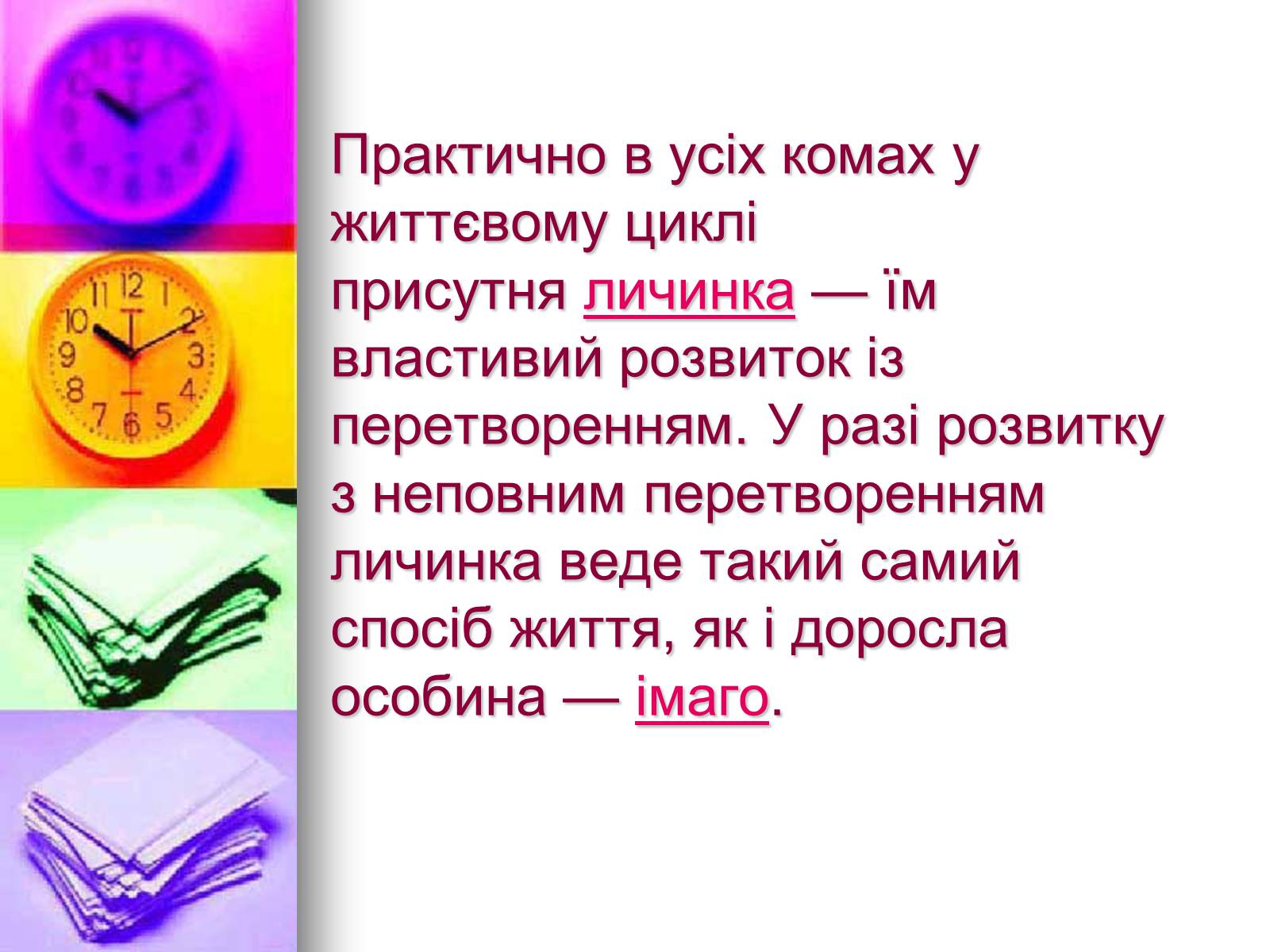 Презентація на тему «Клас Комахи. Загальна характеристика класу» - Слайд #22 Презентація на тему «Клас Комахи. Загальна характеристика класу» - Слайд #22