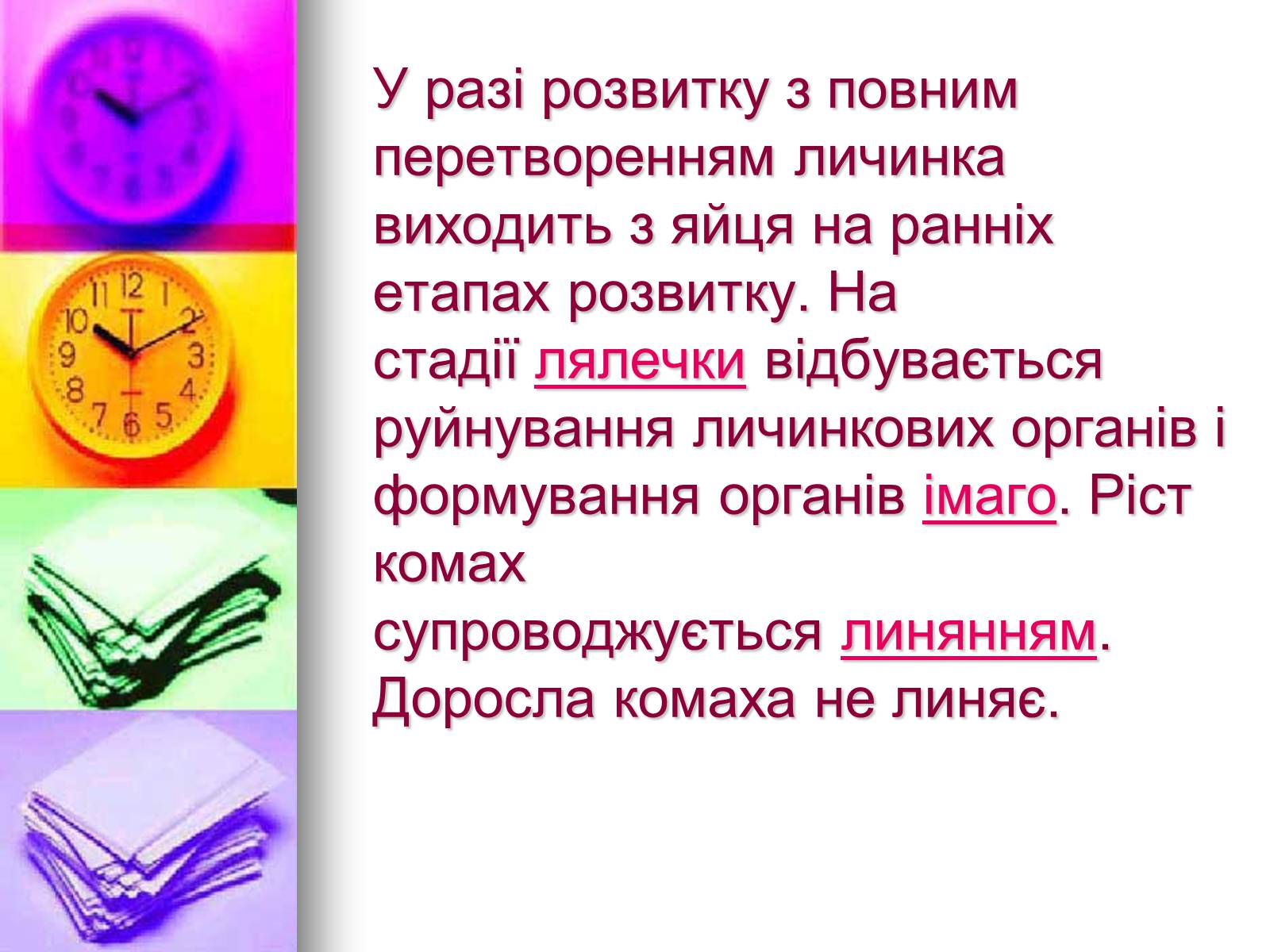 Презентація на тему «Клас Комахи. Загальна характеристика класу» - Слайд #23 Презентація на тему «Клас Комахи. Загальна характеристика класу» - Слайд #23
