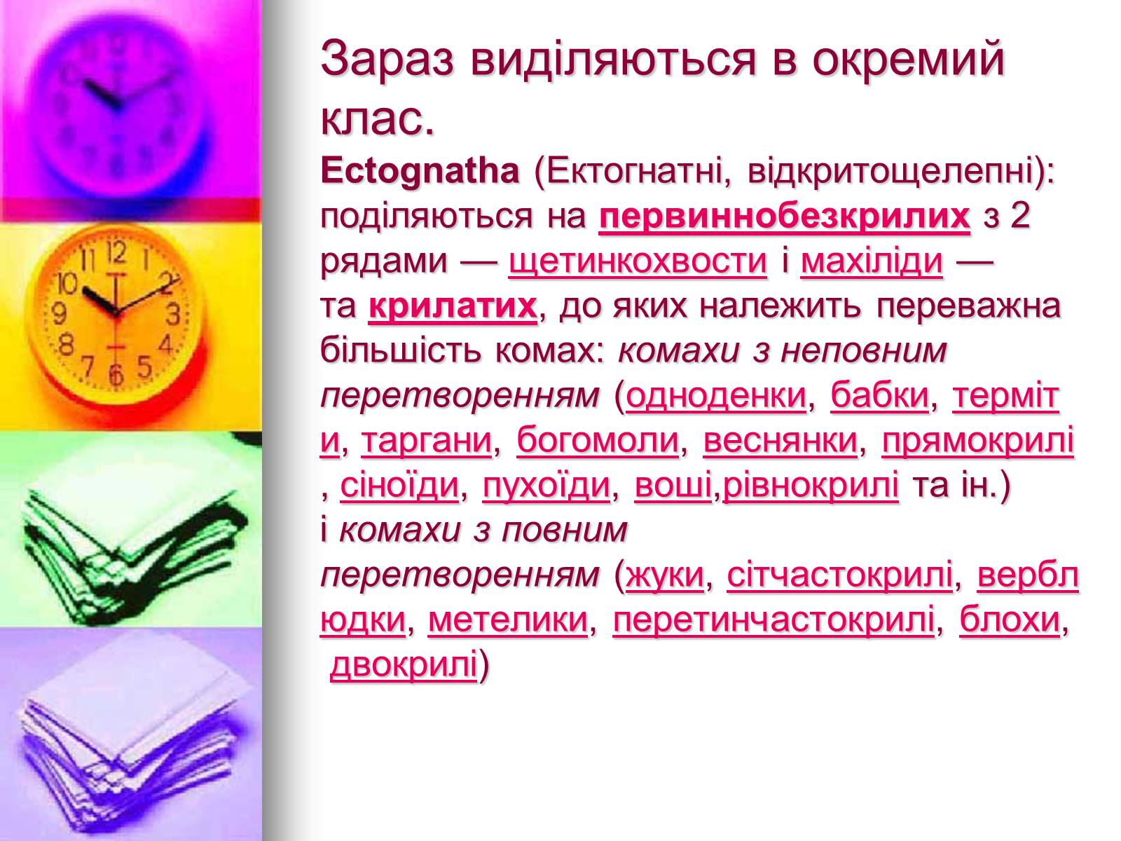 Презентація на тему «Клас Комахи. Загальна характеристика класу» - Слайд #27 Презентація на тему «Клас Комахи. Загальна характеристика класу» - Слайд #27