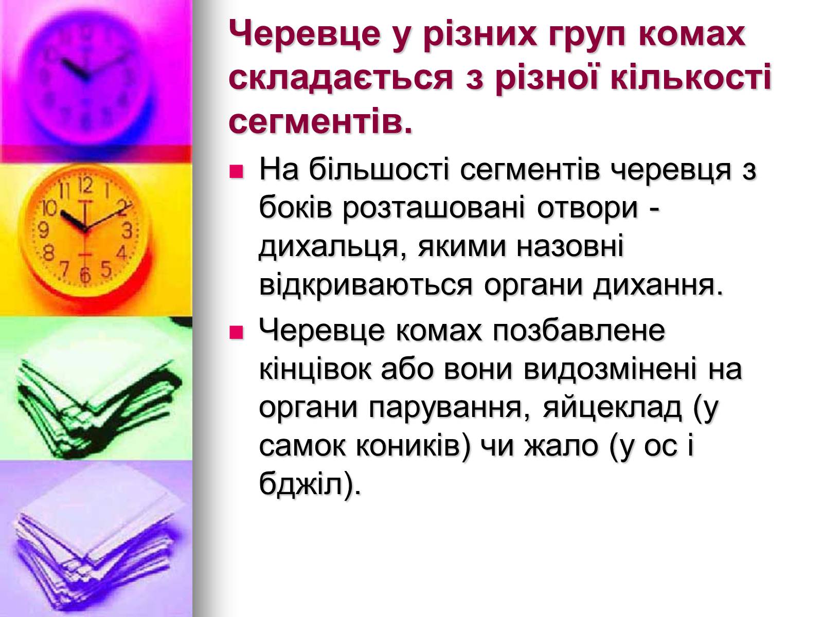 Презентація на тему «Клас Комахи. Загальна характеристика класу» - Слайд #9 Презентація на тему «Клас Комахи. Загальна характеристика класу» - Слайд #9