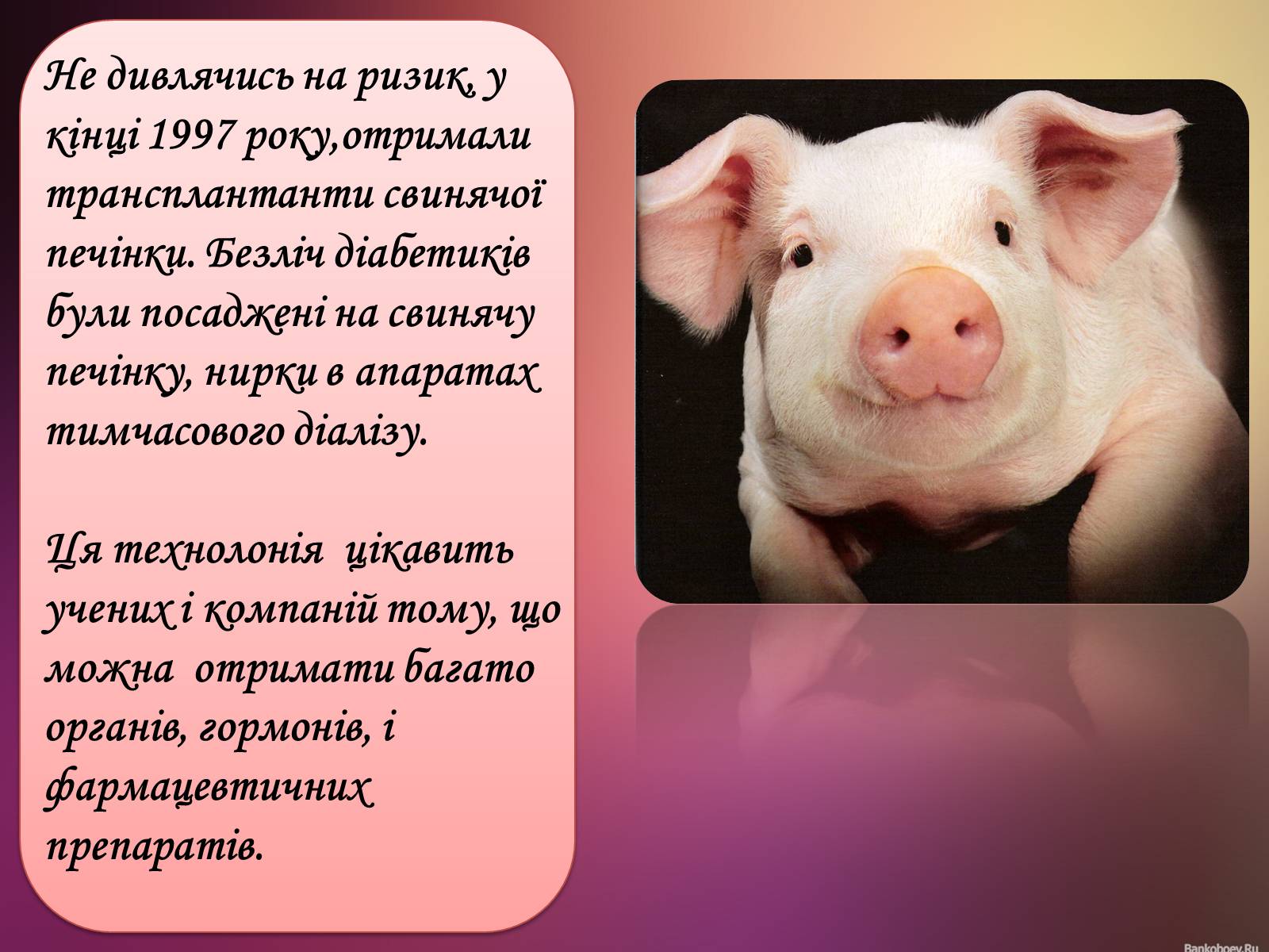 Презентація на тему «Клонування» (варіант 10) - Слайд #16 Презентація на тему «Клонування» (варіант 10) - Слайд #16