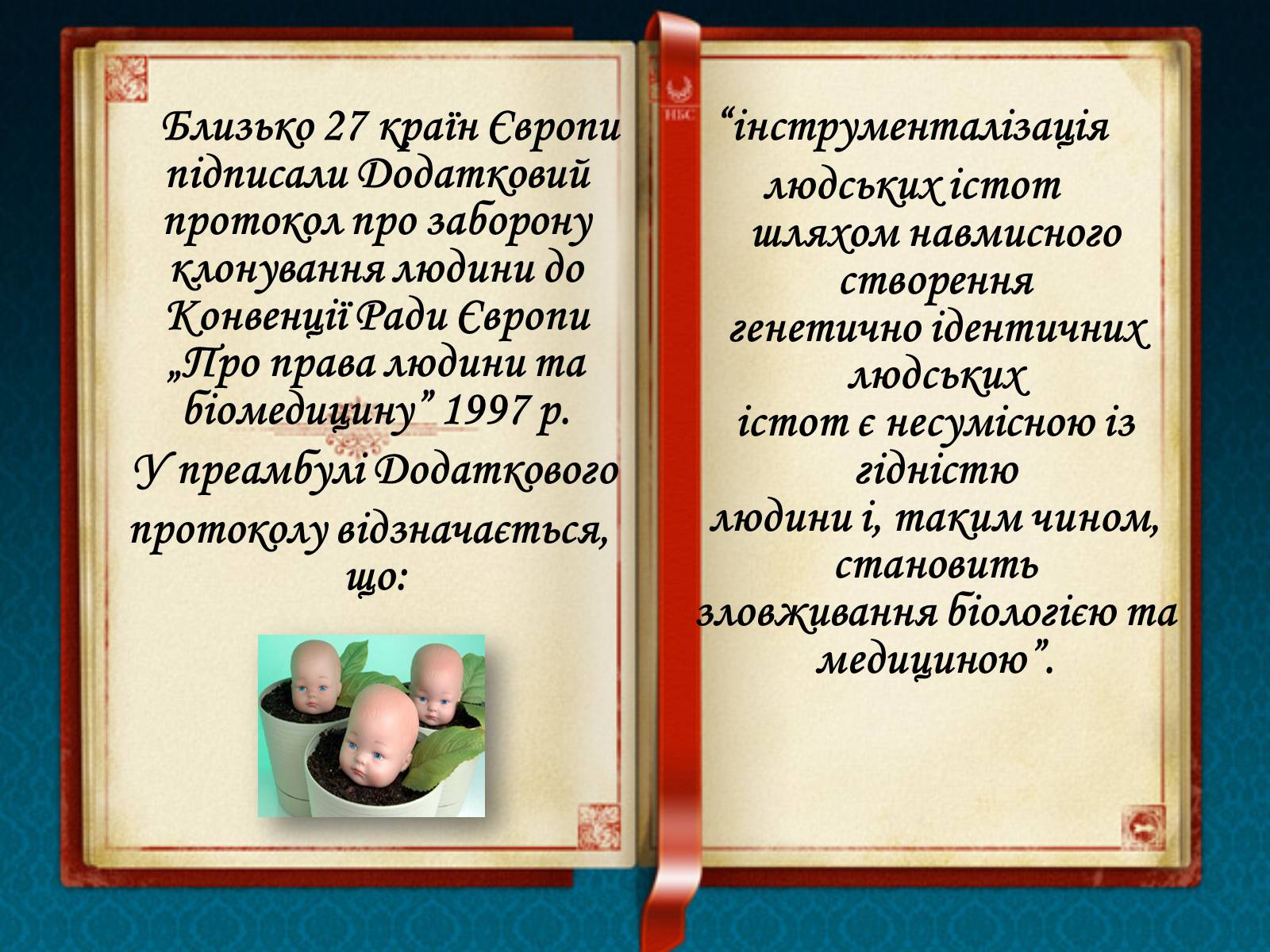 Презентація на тему «Клонування» (варіант 10) - Слайд #23 Презентація на тему «Клонування» (варіант 10) - Слайд #23