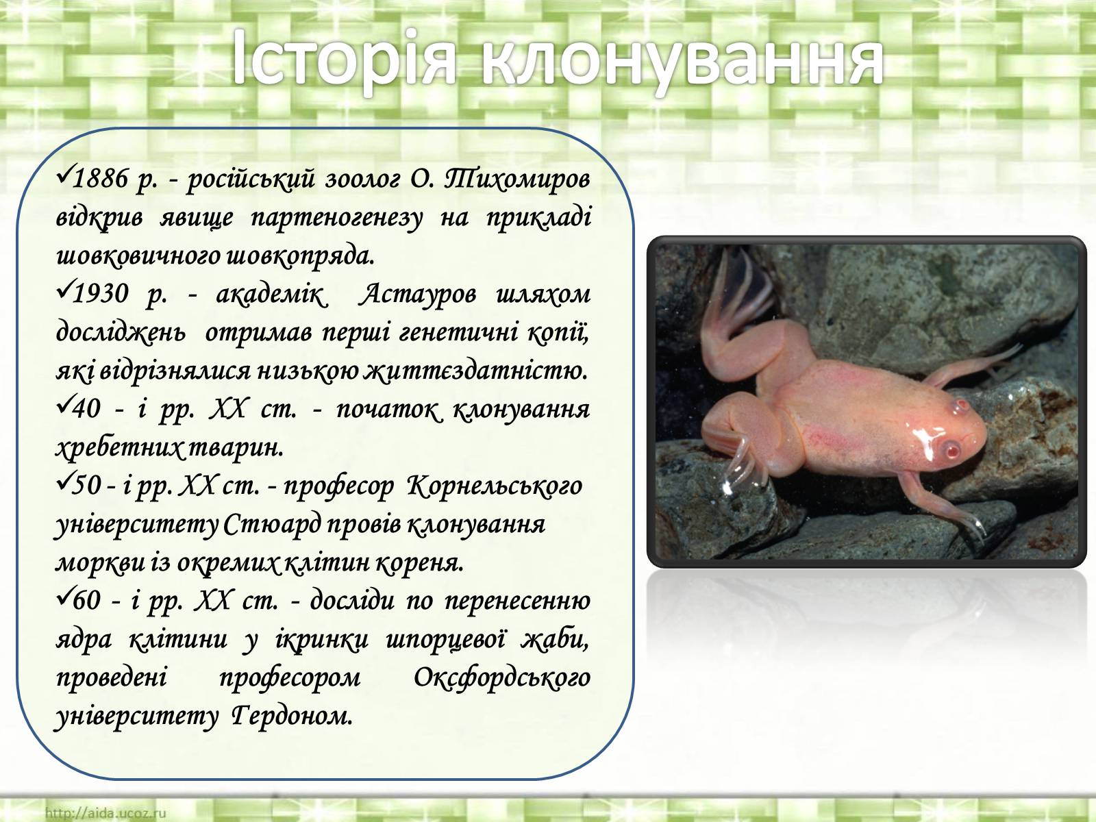 Презентація на тему «Клонування» (варіант 10) - Слайд #5 Презентація на тему «Клонування» (варіант 10) - Слайд #5