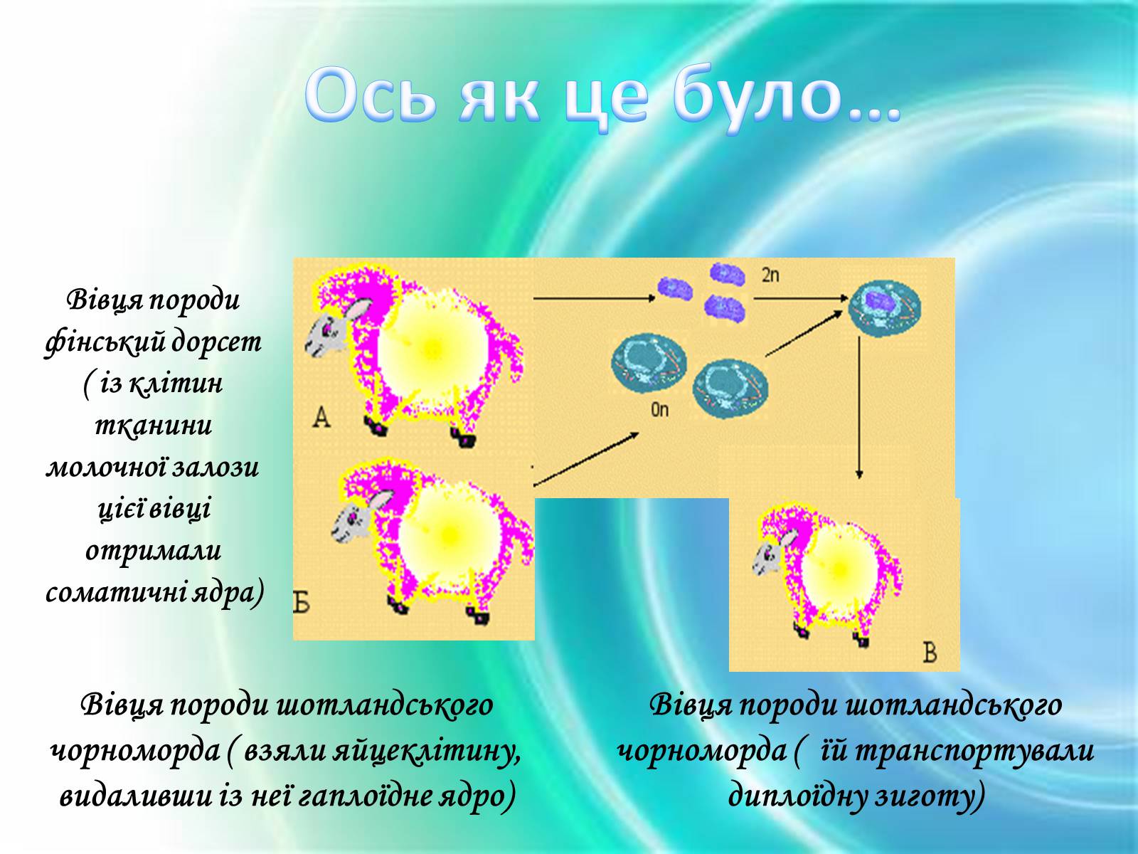 Презентація на тему «Клонування» (варіант 10) - Слайд #7 Презентація на тему «Клонування» (варіант 10) - Слайд #7