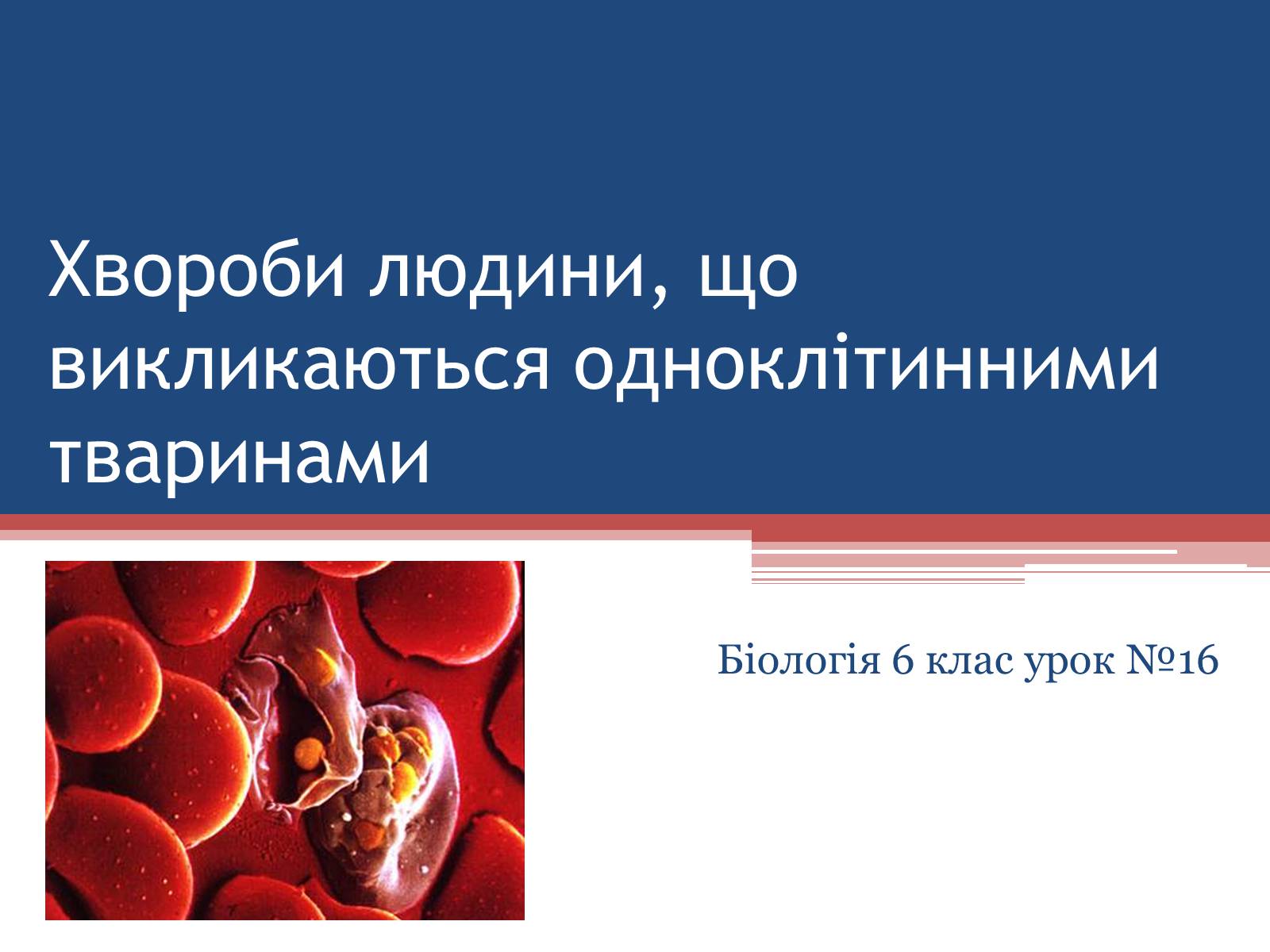 Презентація на тему «Хвороби людини, що викликаються одноклітинними тваринами» - Слайд #1 Презентація на тему «Хвороби людини, що викликаються одноклітинними тваринами» - Слайд #1