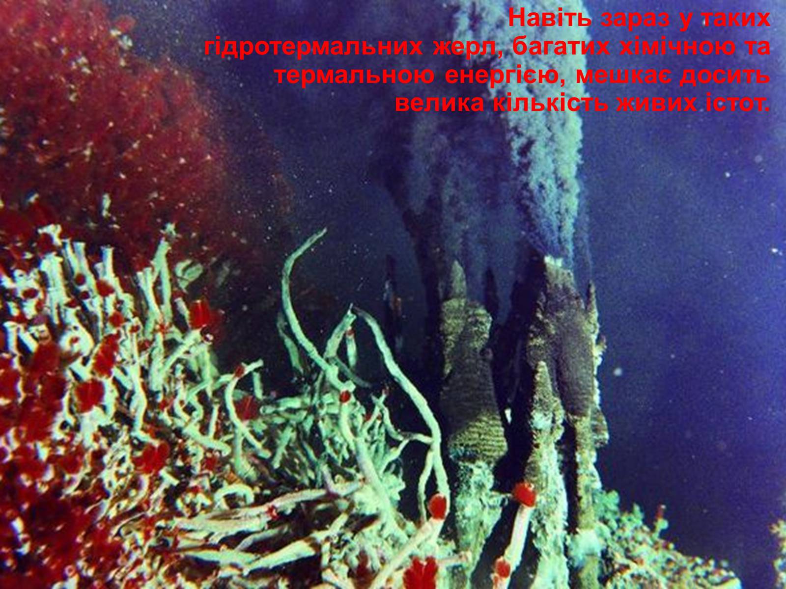 Презентація на тему «Гіпотези виникнення життя на землі» (варіант 2) - Слайд #10 Презентація на тему «Гіпотези виникнення життя на землі» (варіант 2) - Слайд #10