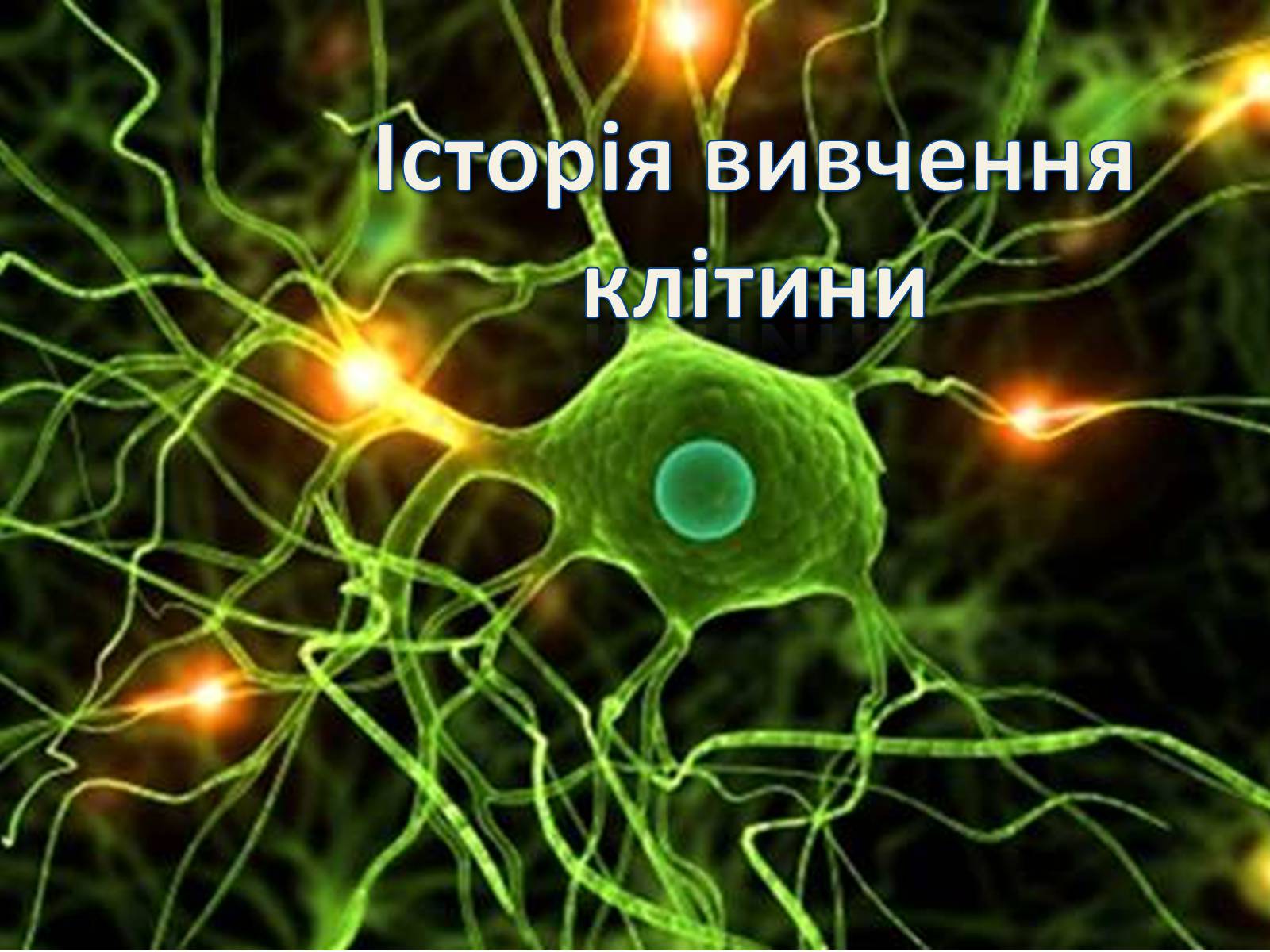 Презентація на тему «Історія вивчення клітини» - Слайд #1 Презентація на тему «Історія вивчення клітини» - Слайд #1