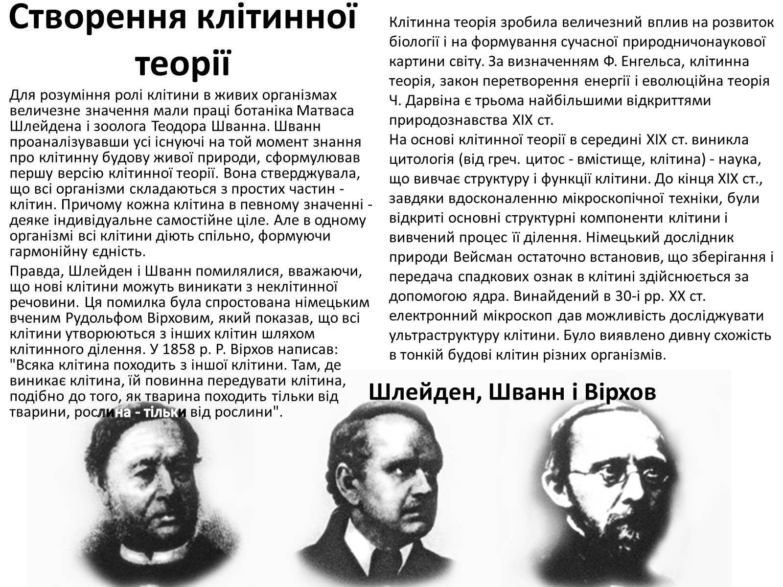 Презентація на тему «Історія вивчення клітини» - Слайд #6 Презентація на тему «Історія вивчення клітини» - Слайд #6