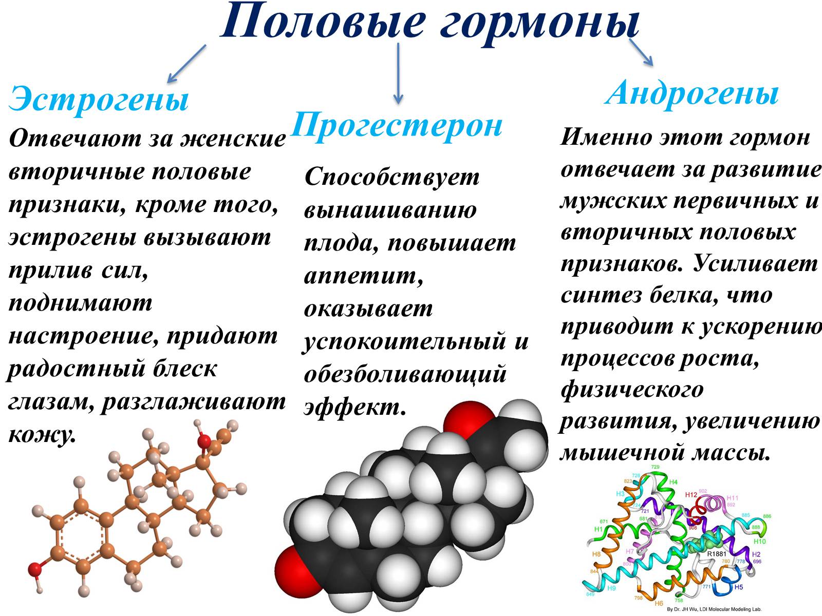Презентація на тему «Гормоны» (варіант 2) - Слайд #19 Презентація на тему «Гормоны» (варіант 2) - Слайд #19