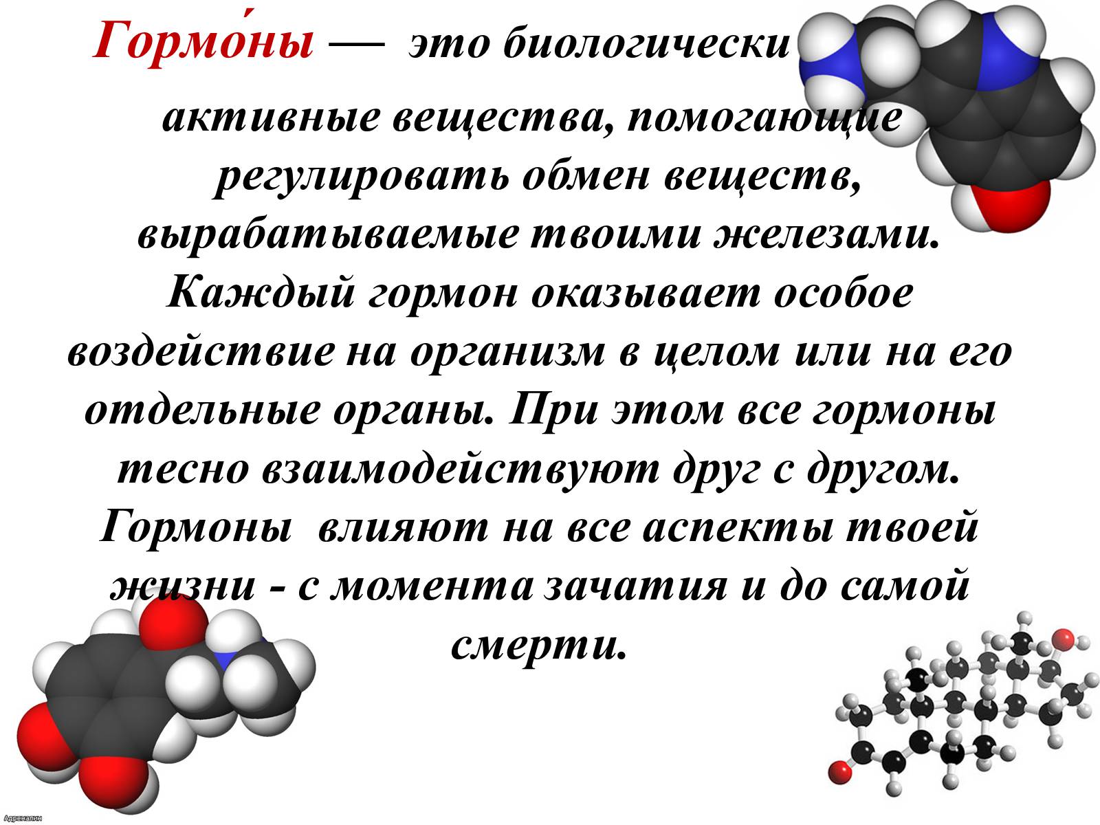 Презентація на тему «Гормоны» (варіант 2) - Слайд #2 Презентація на тему «Гормоны» (варіант 2) - Слайд #2
