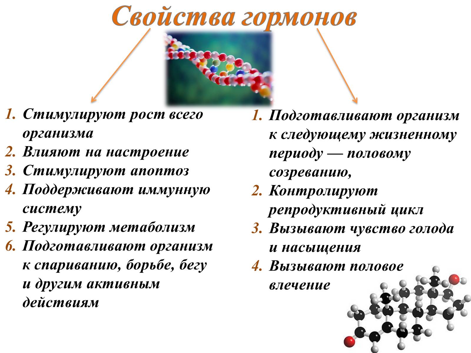 Презентація на тему «Гормоны» (варіант 2) - Слайд #4 Презентація на тему «Гормоны» (варіант 2) - Слайд #4