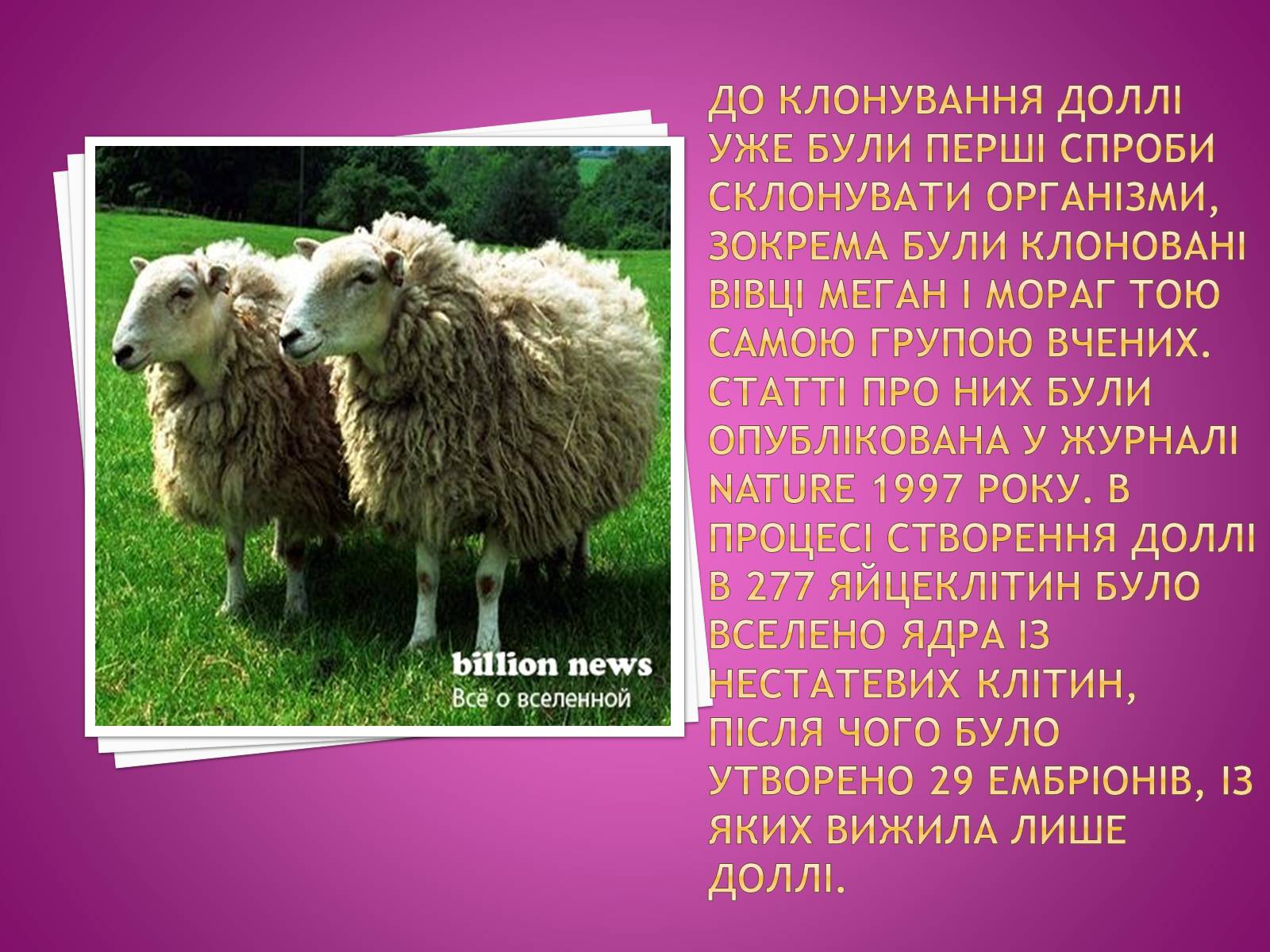 Презентація на тему «Клонування організмів» - Слайд #6