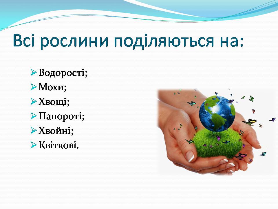 Презентація на тему «Різноманітність видів рослин у природі» - Слайд #2 Презентація на тему «Різноманітність видів рослин у природі» - Слайд #2