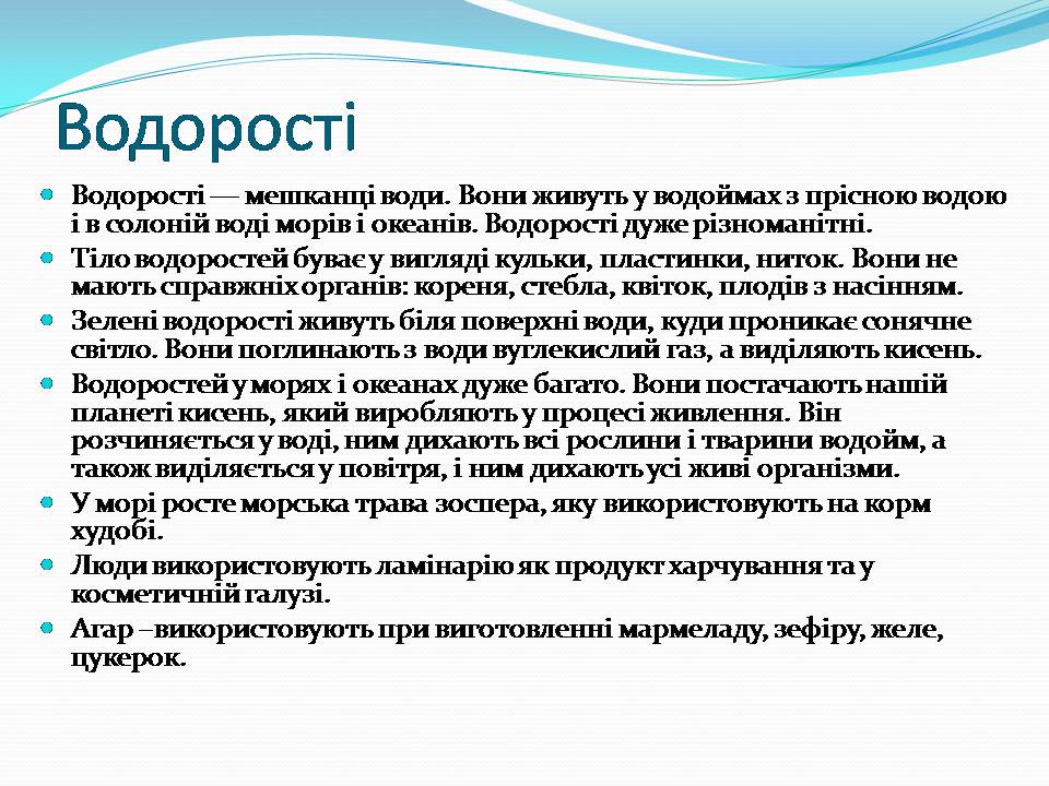 Презентація на тему «Різноманітність видів рослин у природі» - Слайд #3 Презентація на тему «Різноманітність видів рослин у природі» - Слайд #3