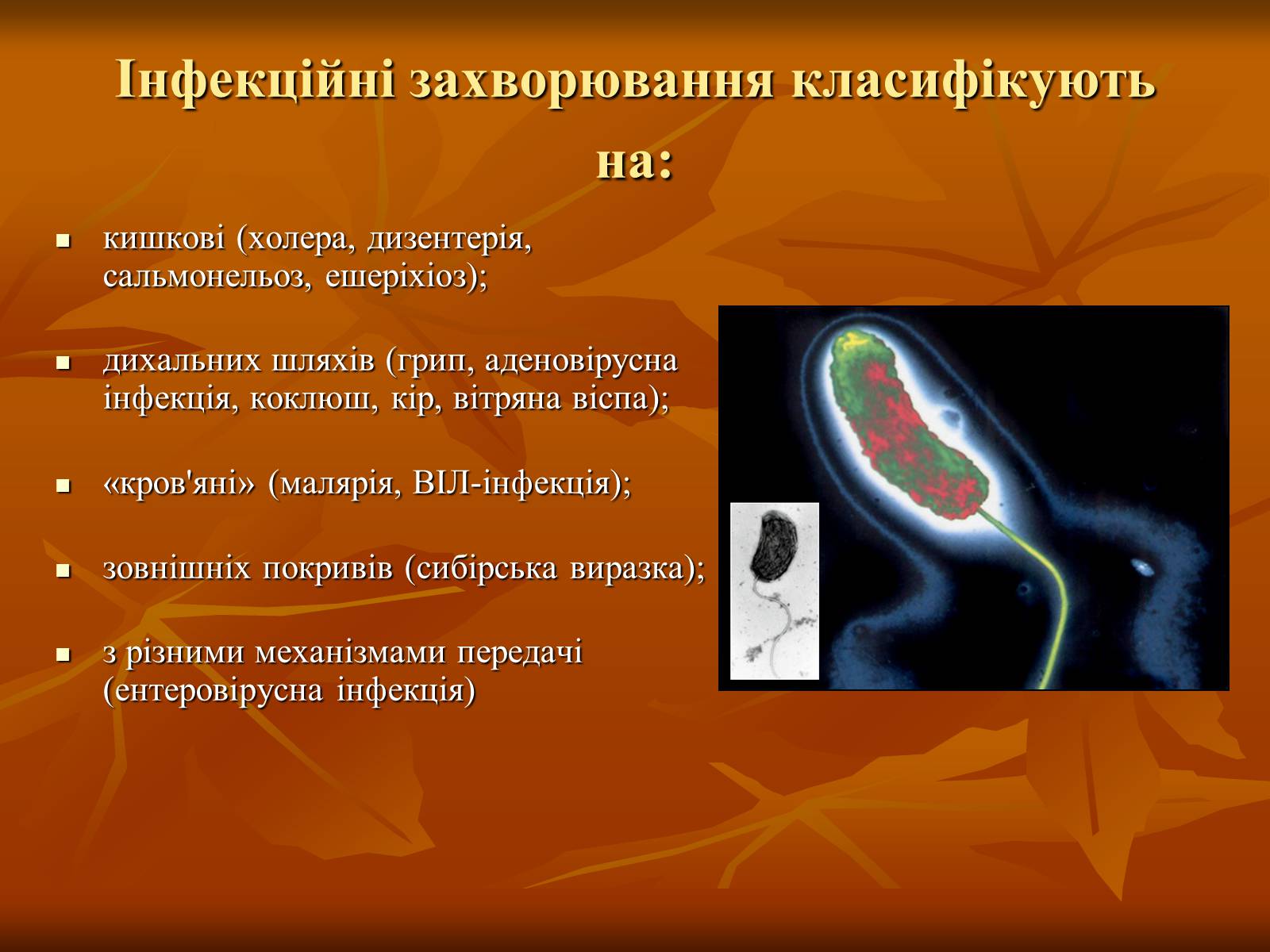 Презентація на тему «Інфекційні захворювання» (варіант 1) - Слайд #6 Презентація на тему «Інфекційні захворювання» (варіант 1) - Слайд #6
