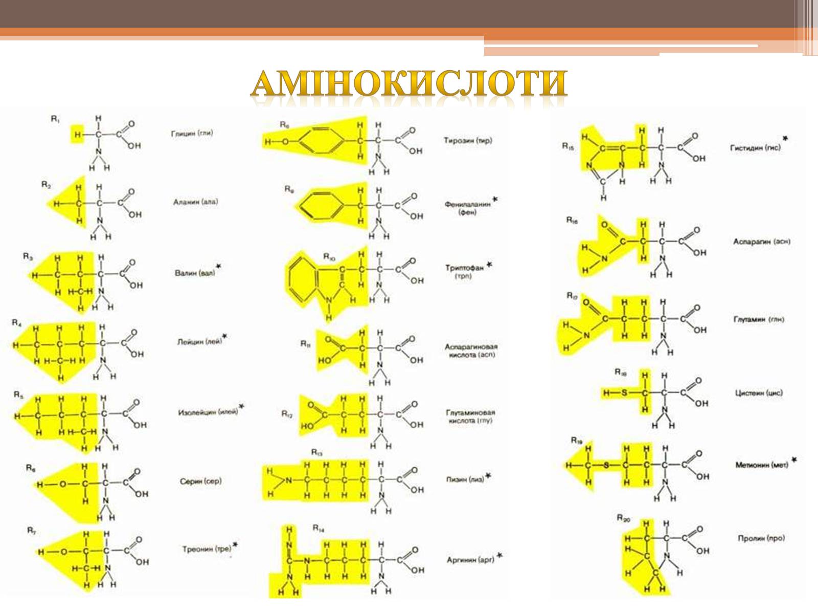 Презентація на тему «Білки» (варіант 5) - Слайд #5 Презентація на тему «Білки» (варіант 5) - Слайд #5