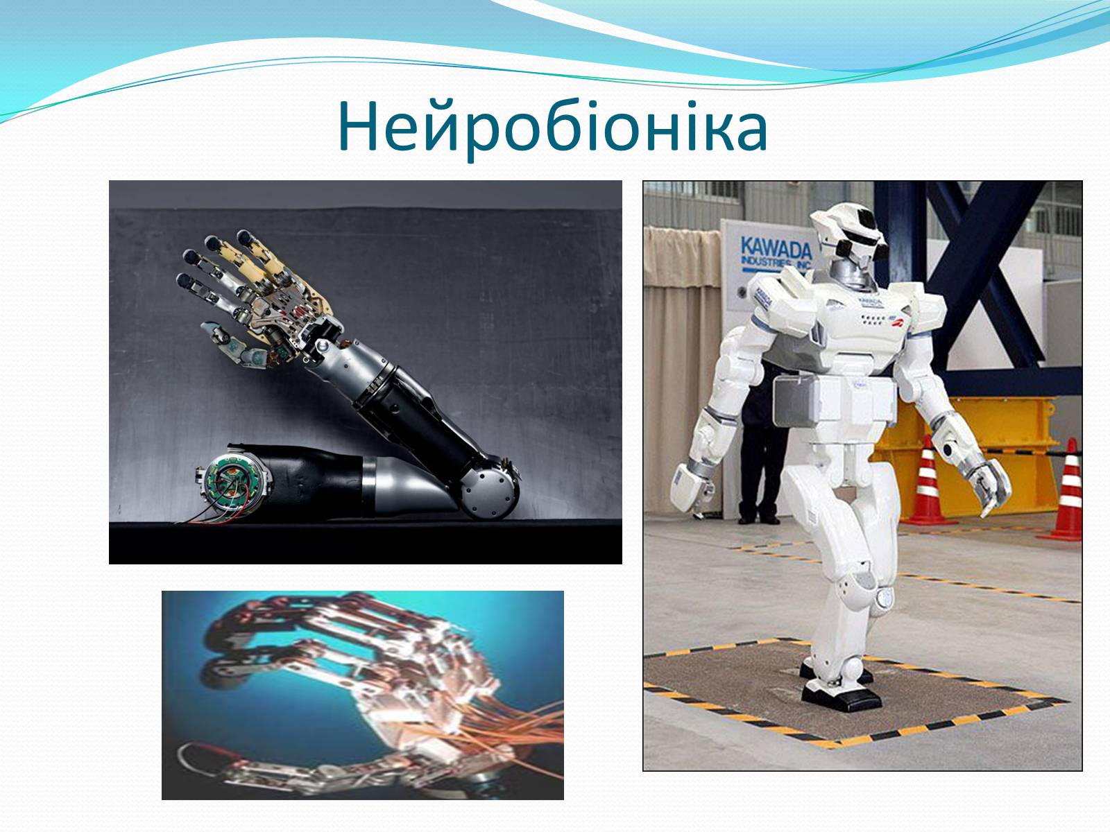 Презентація на тему «Біоніка» (варіант 3) - Слайд #5 Презентація на тему «Біоніка» (варіант 3) - Слайд #5