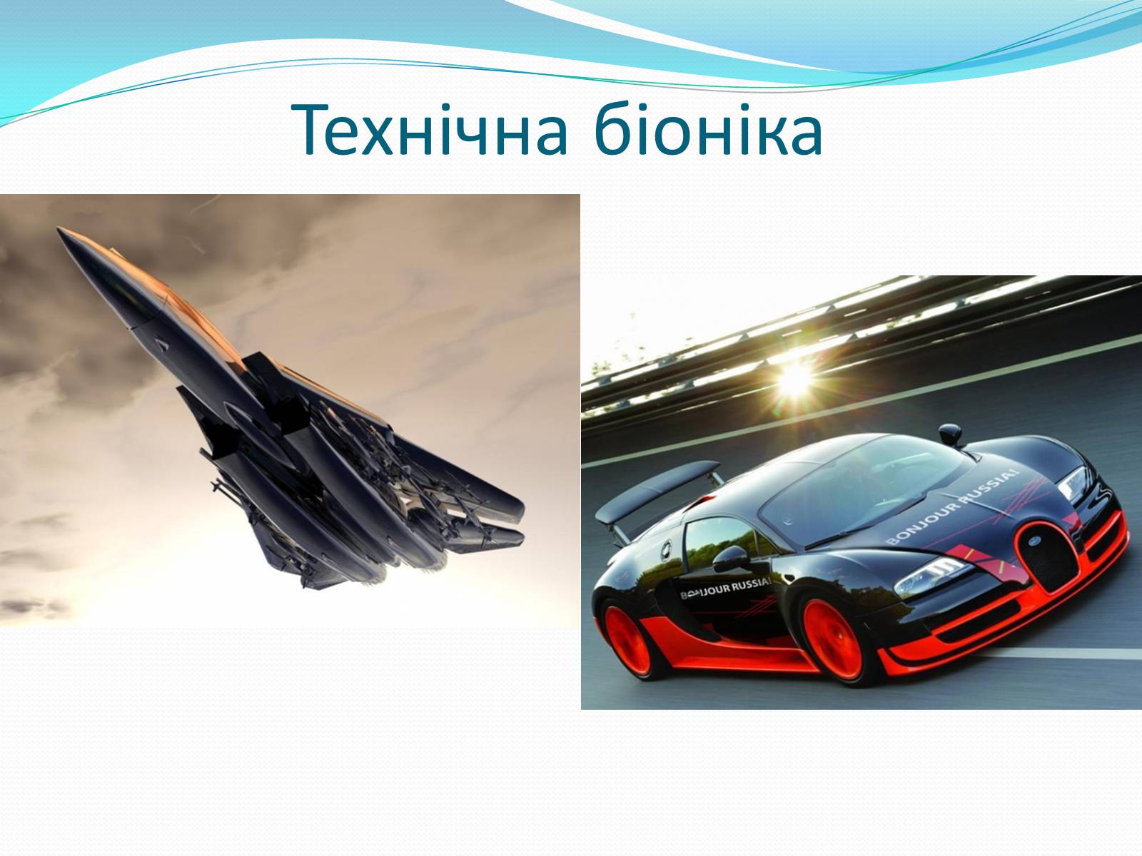 Презентація на тему «Біоніка» (варіант 3) - Слайд #9 Презентація на тему «Біоніка» (варіант 3) - Слайд #9