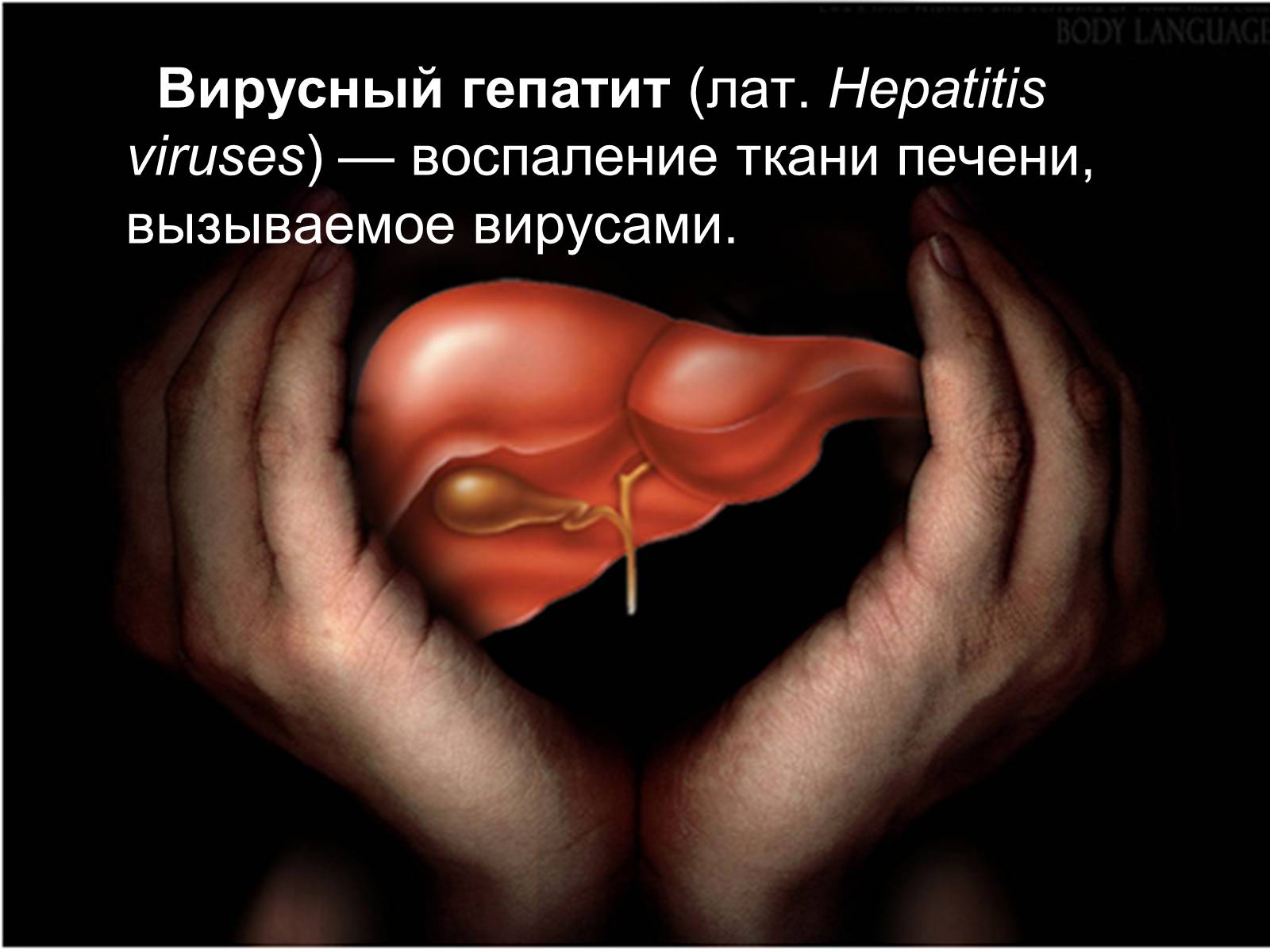 Презентація на тему «Вирусный гепатит» - Слайд #2 Презентація на тему «Вирусный гепатит» - Слайд #2
