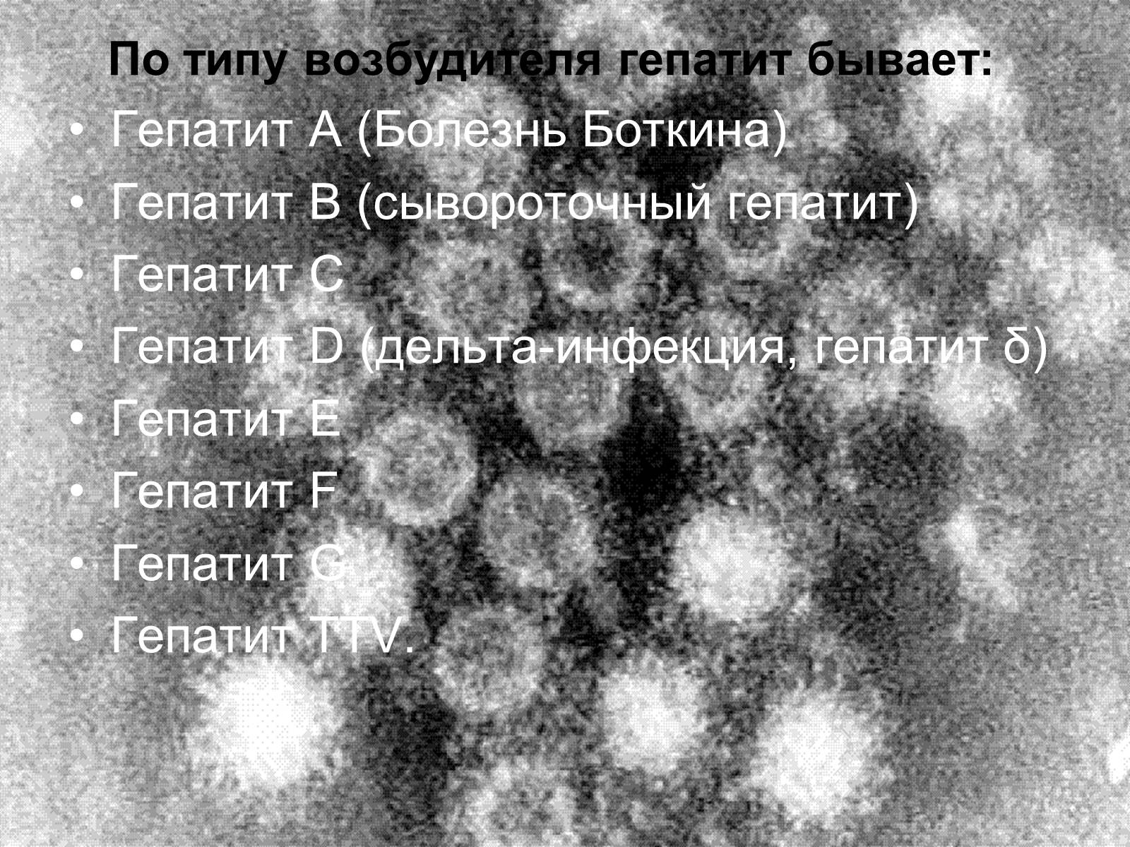 Презентація на тему «Вирусный гепатит» - Слайд #5 Презентація на тему «Вирусный гепатит» - Слайд #5