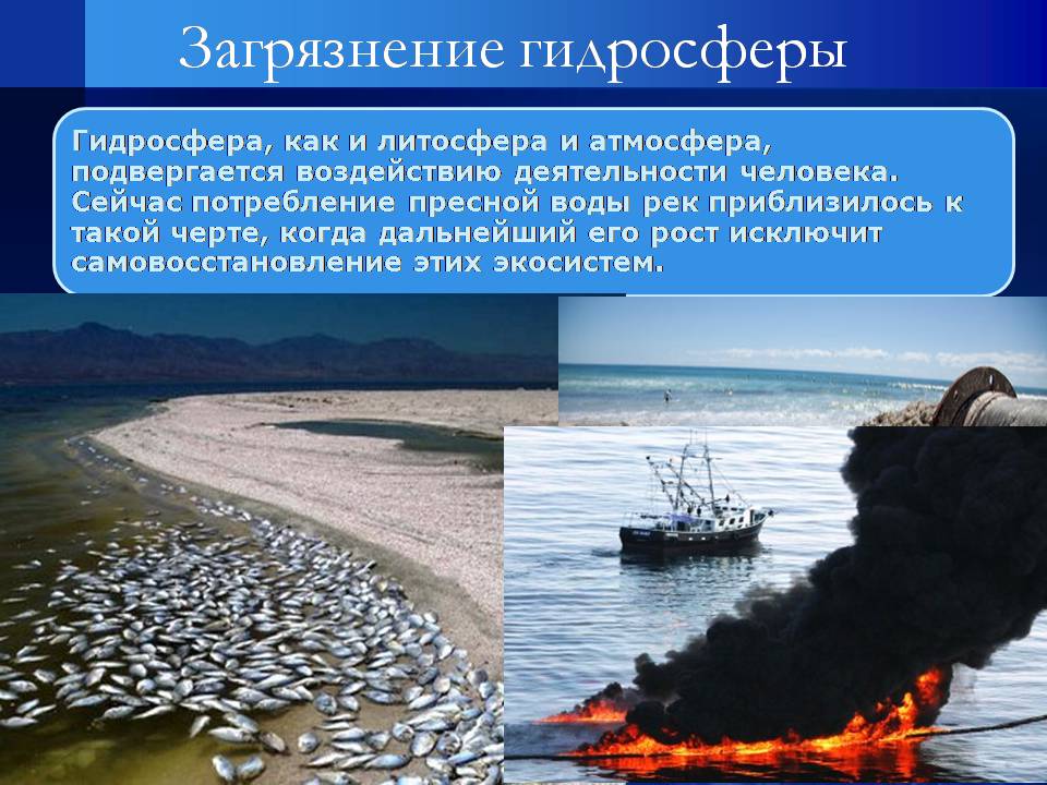Презентація на тему «Воздействие человека на биосферу» - Слайд #14 Презентація на тему «Воздействие человека на биосферу» - Слайд #14