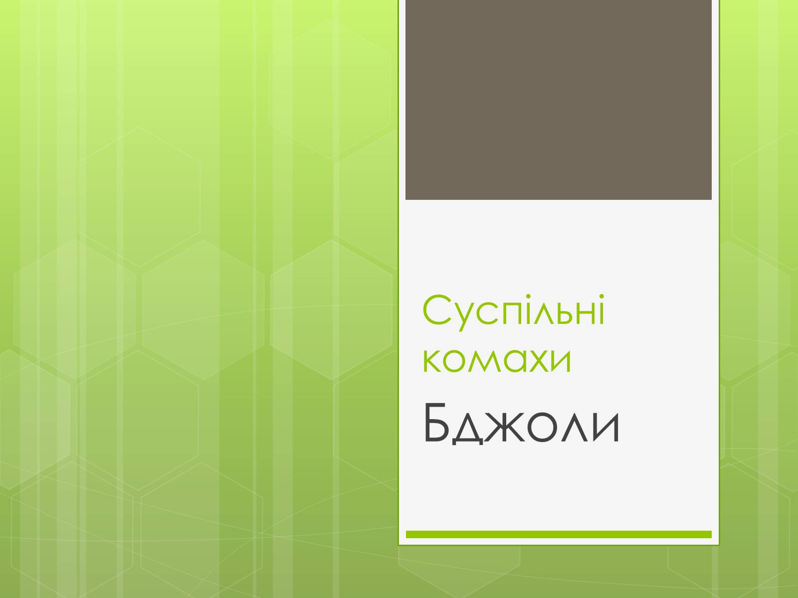 Презентація на тему «Бджоли» - Слайд #1 Презентація на тему «Бджоли» - Слайд #1