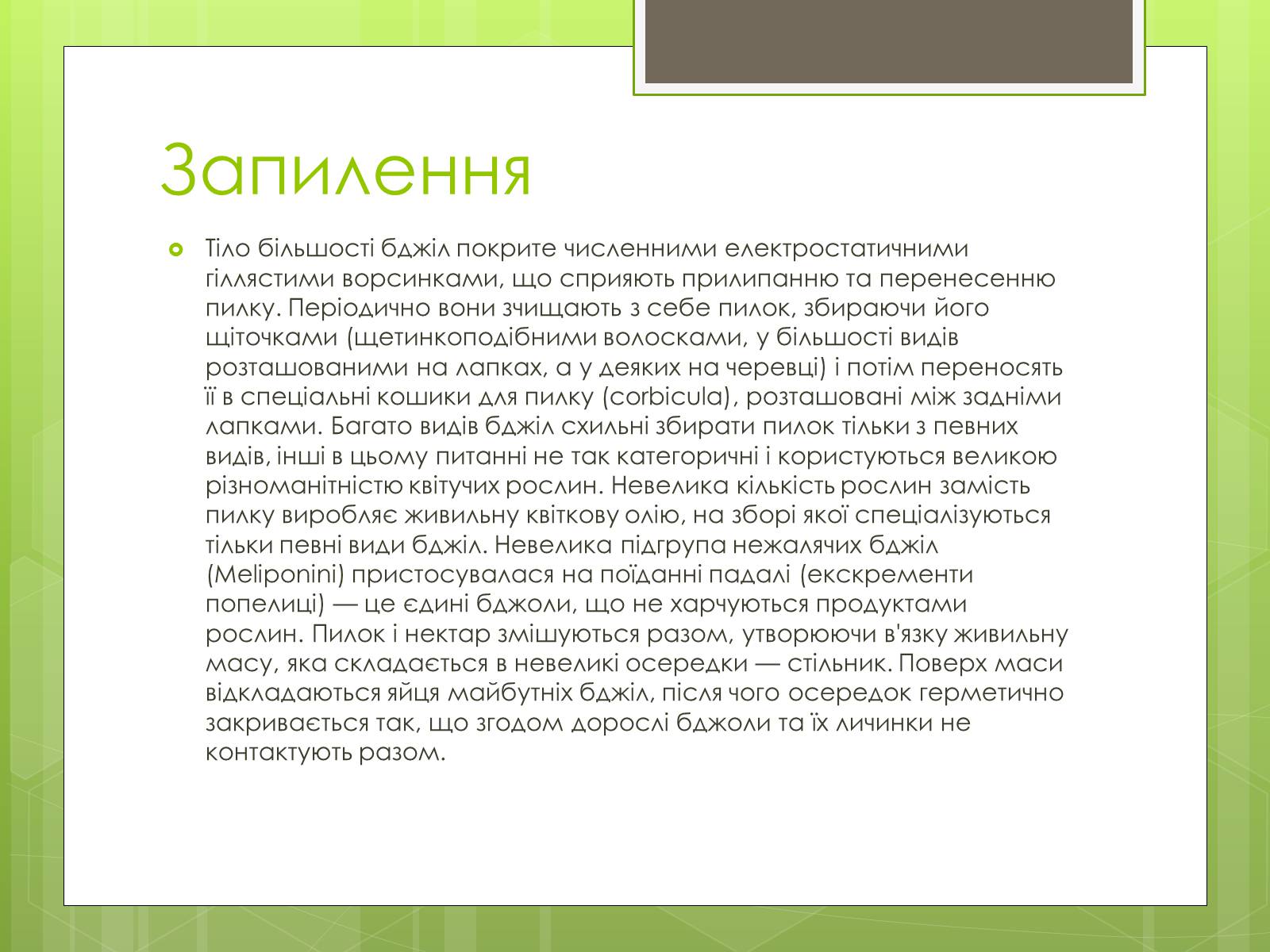 Презентація на тему «Бджоли» - Слайд #5 Презентація на тему «Бджоли» - Слайд #5