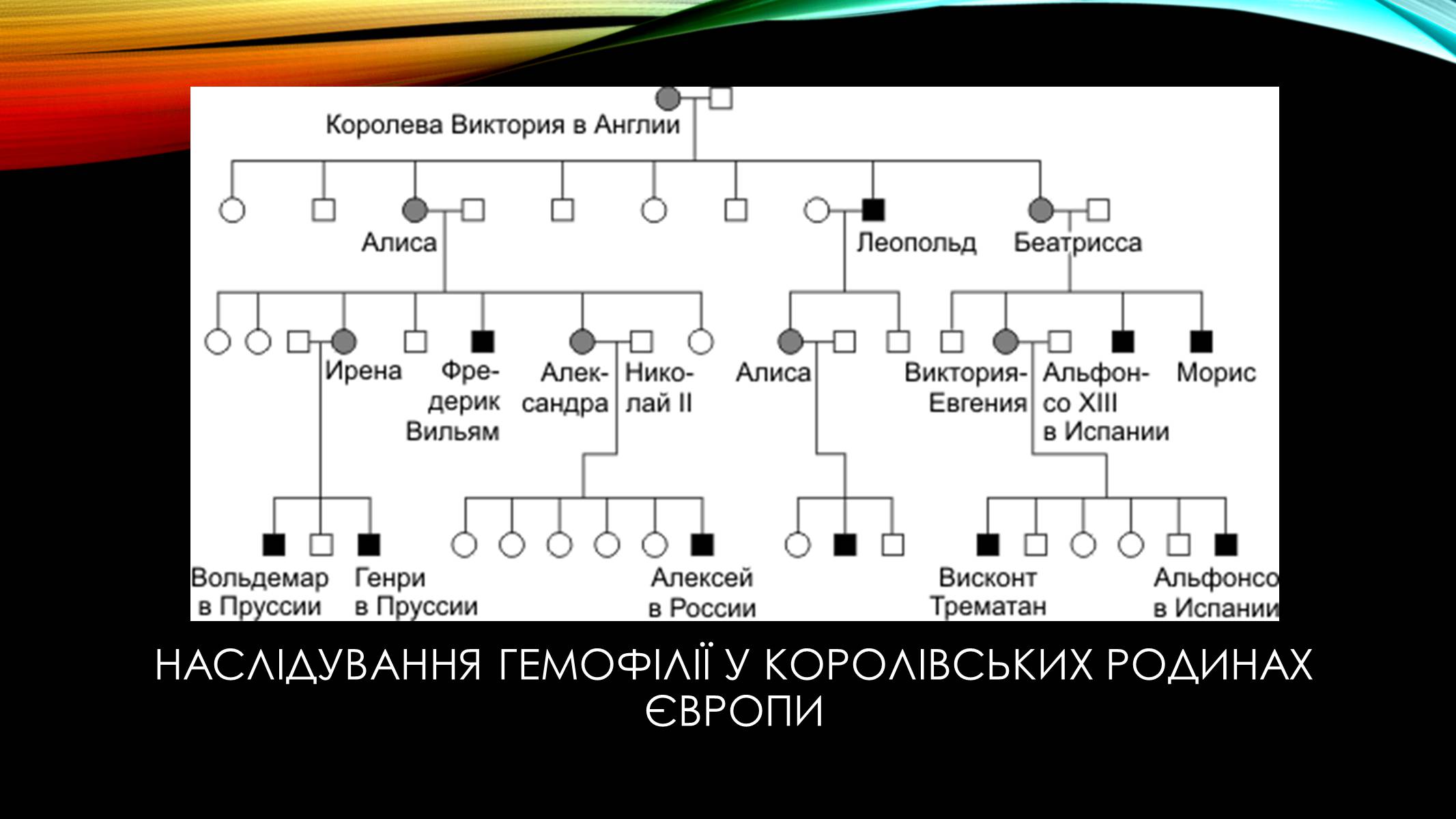 Презентація на тему «Гемофілія» (варіант 2) - Слайд #7 Презентація на тему «Гемофілія» (варіант 2) - Слайд #7